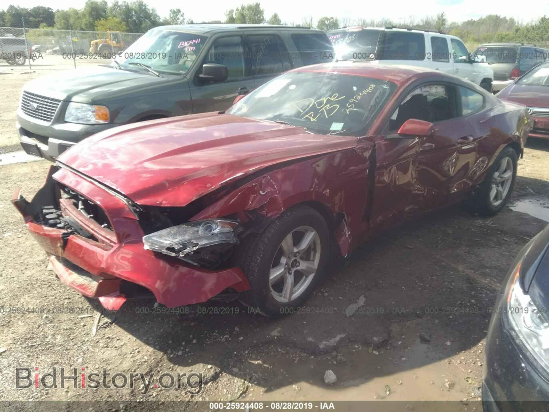 2016 FORD MUSTANG - VIN: 1FA6P8AM2G5332255 - Фото 2
