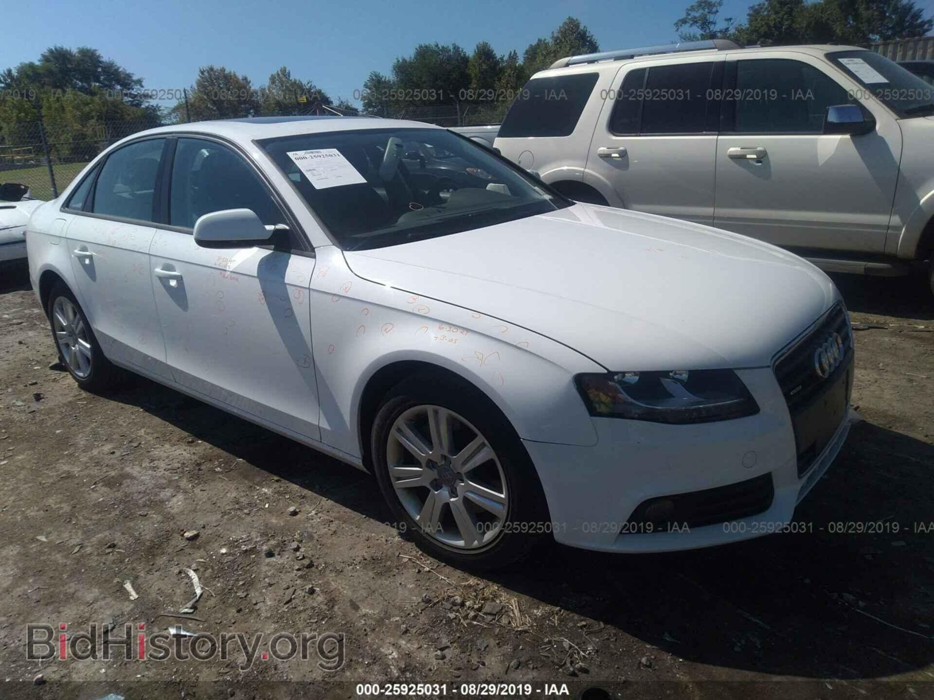 Фотография WAUBFAFL4BN036372 - AUDI A4 2011