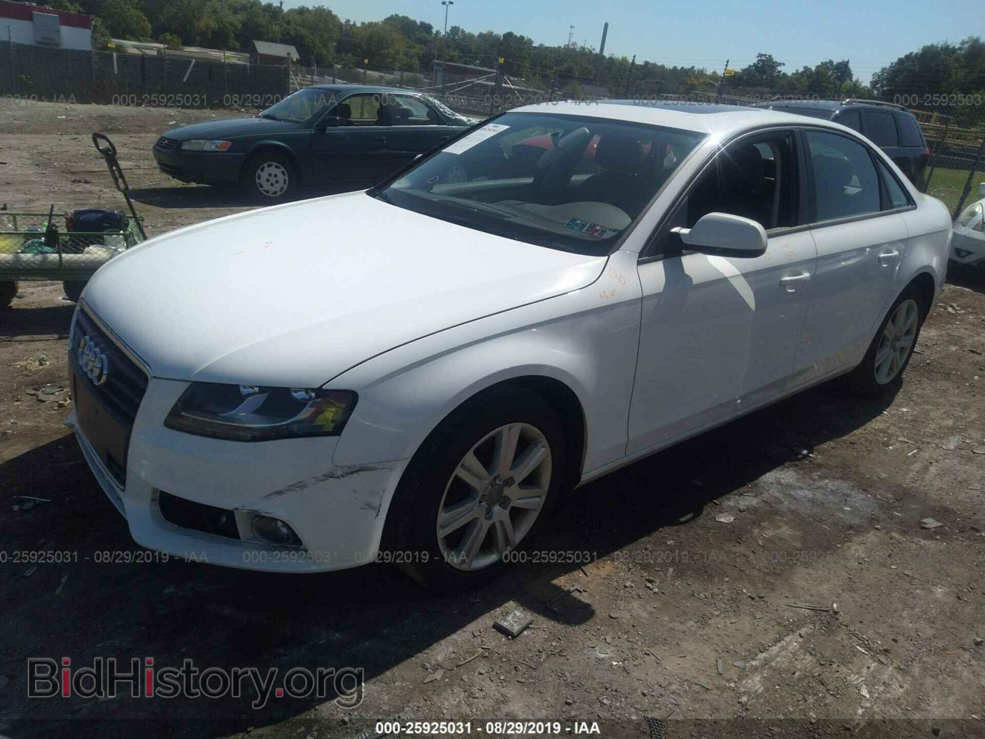 2011 AUDI A4 - VIN: WAUBFAFL4BN036372 - Фото 2