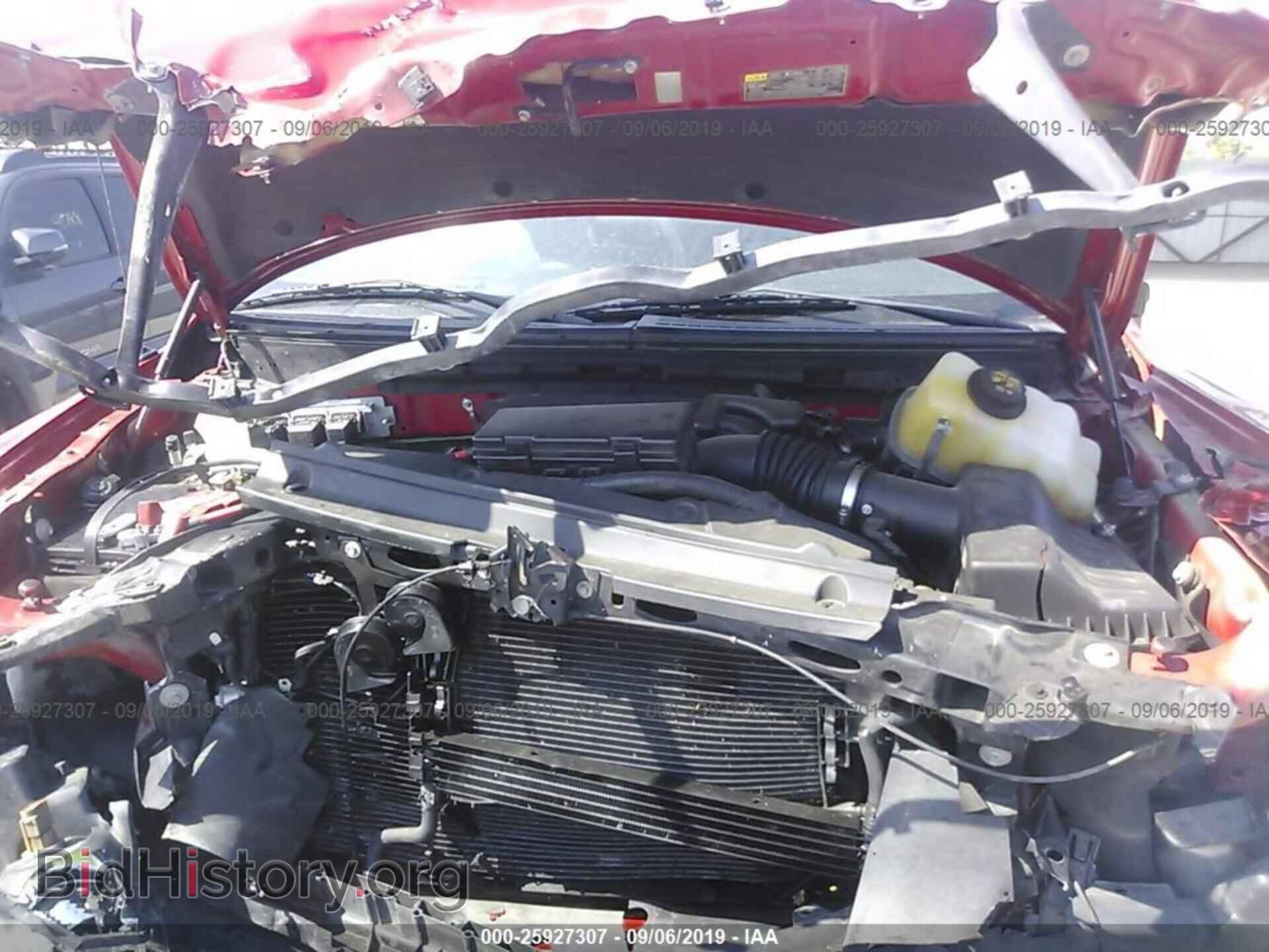 2013 FORD F150 - VIN: 1FTMF1CM1DKF03342 - Фото 10