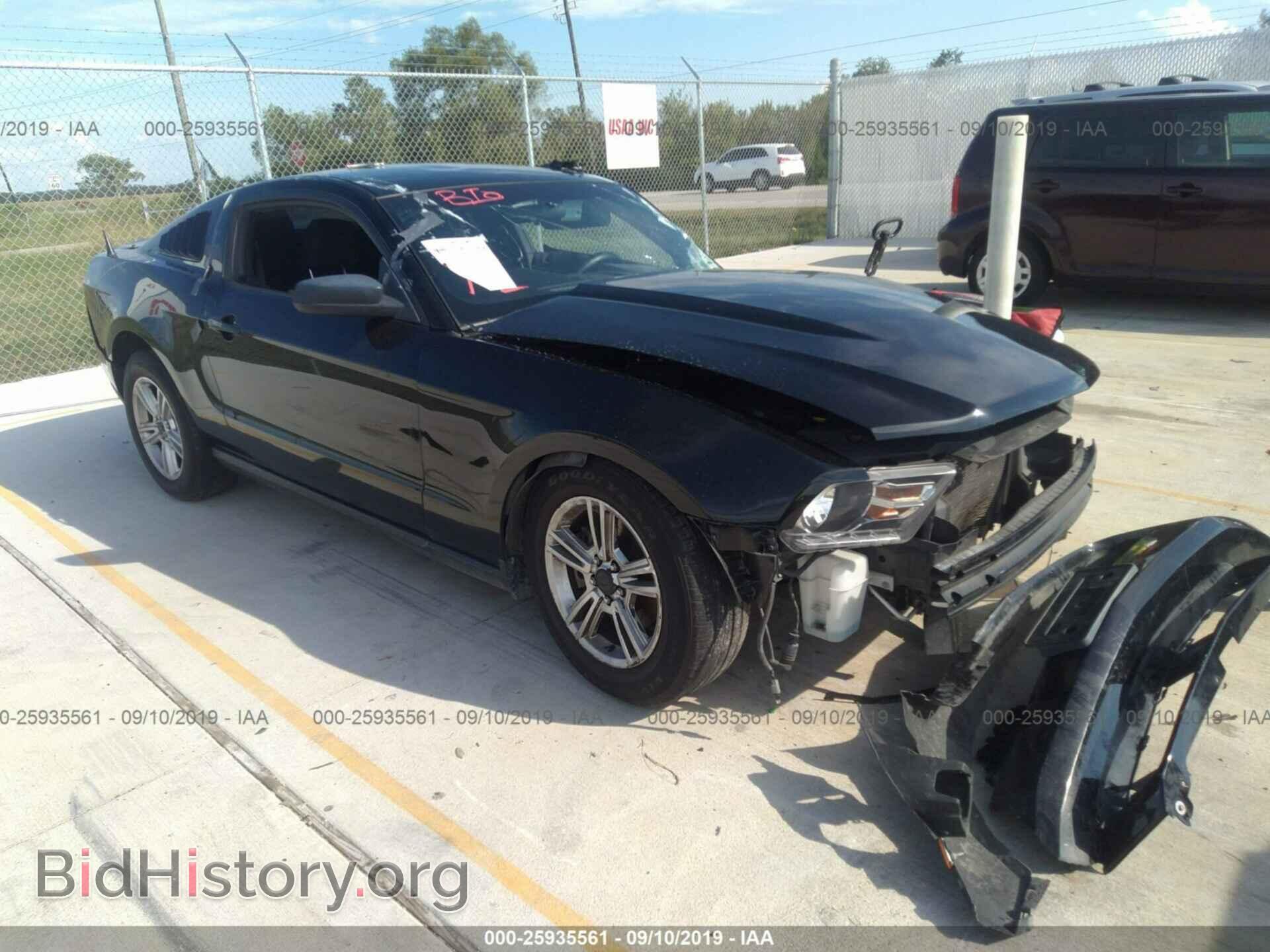 Фотография 1ZVBP8AM8B5155936 - FORD MUSTANG 2011