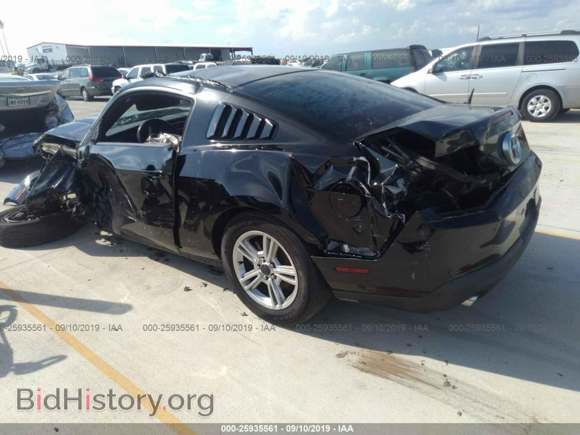 2011 FORD MUSTANG - VIN: 1ZVBP8AM8B5155936 - Фото 3