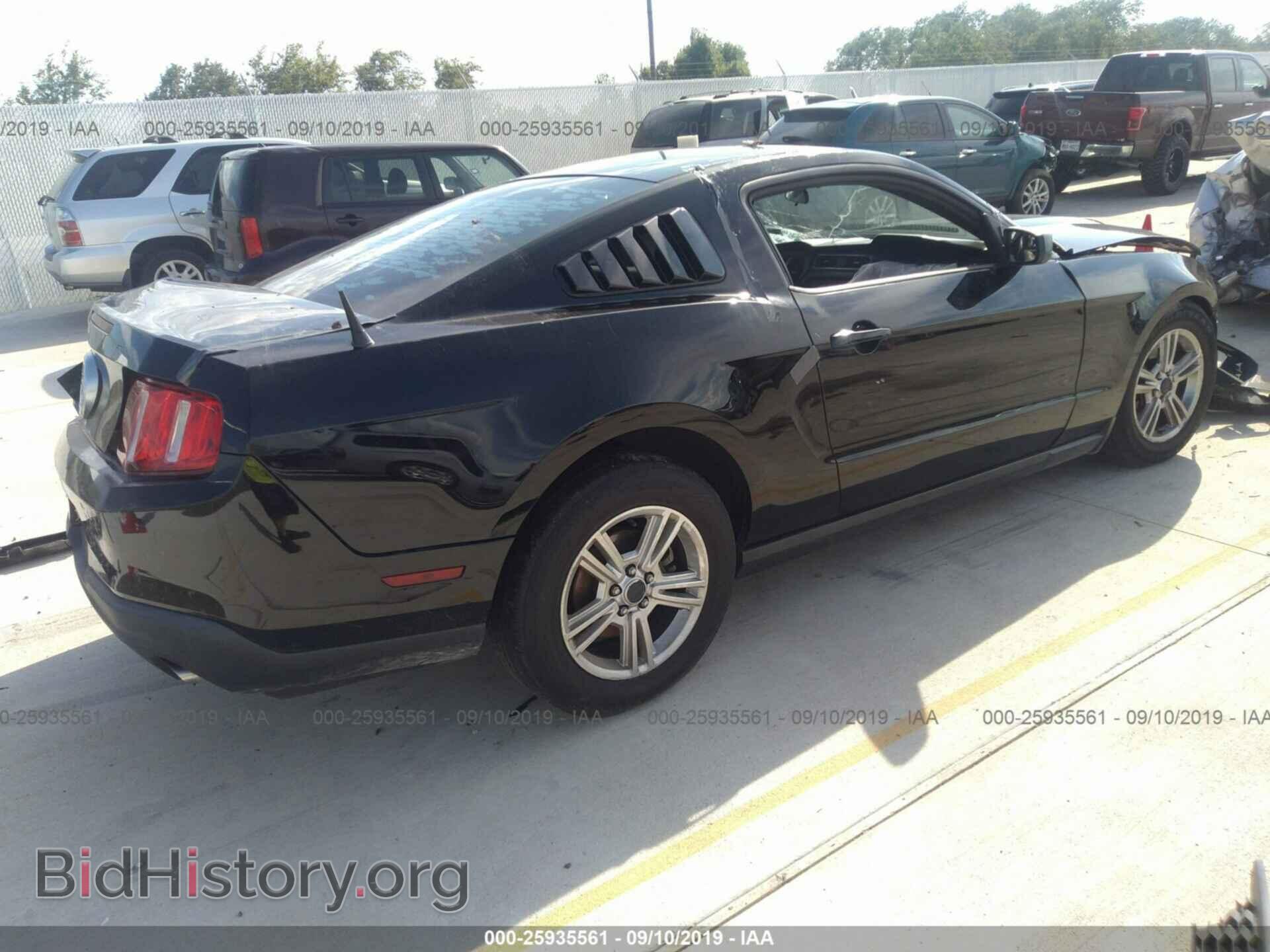 2011 FORD MUSTANG - VIN: 1ZVBP8AM8B5155936 - Фото 4