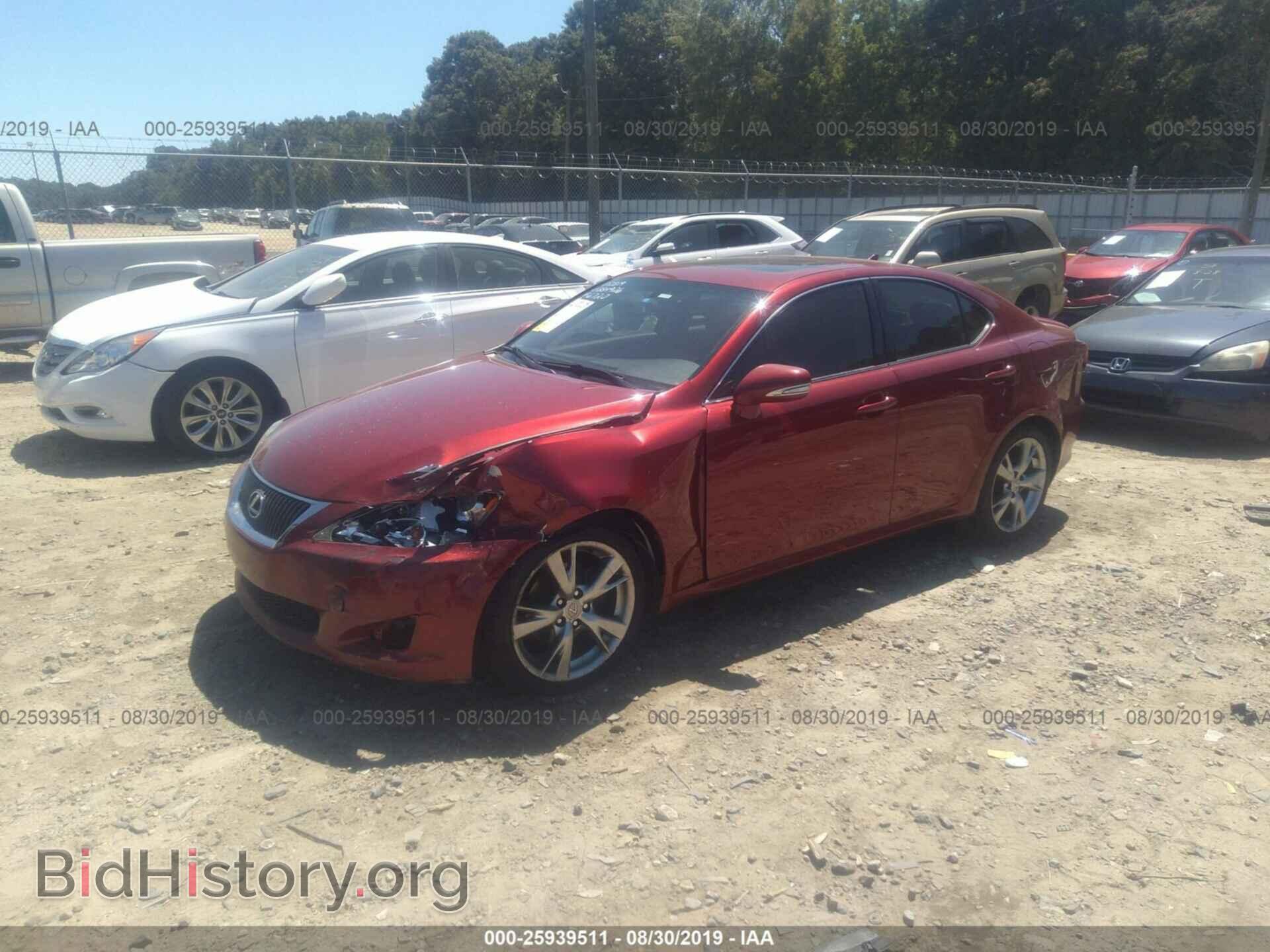 2010 LEXUS IS - VIN: JTHBF5C29A5126720 - Фото 2