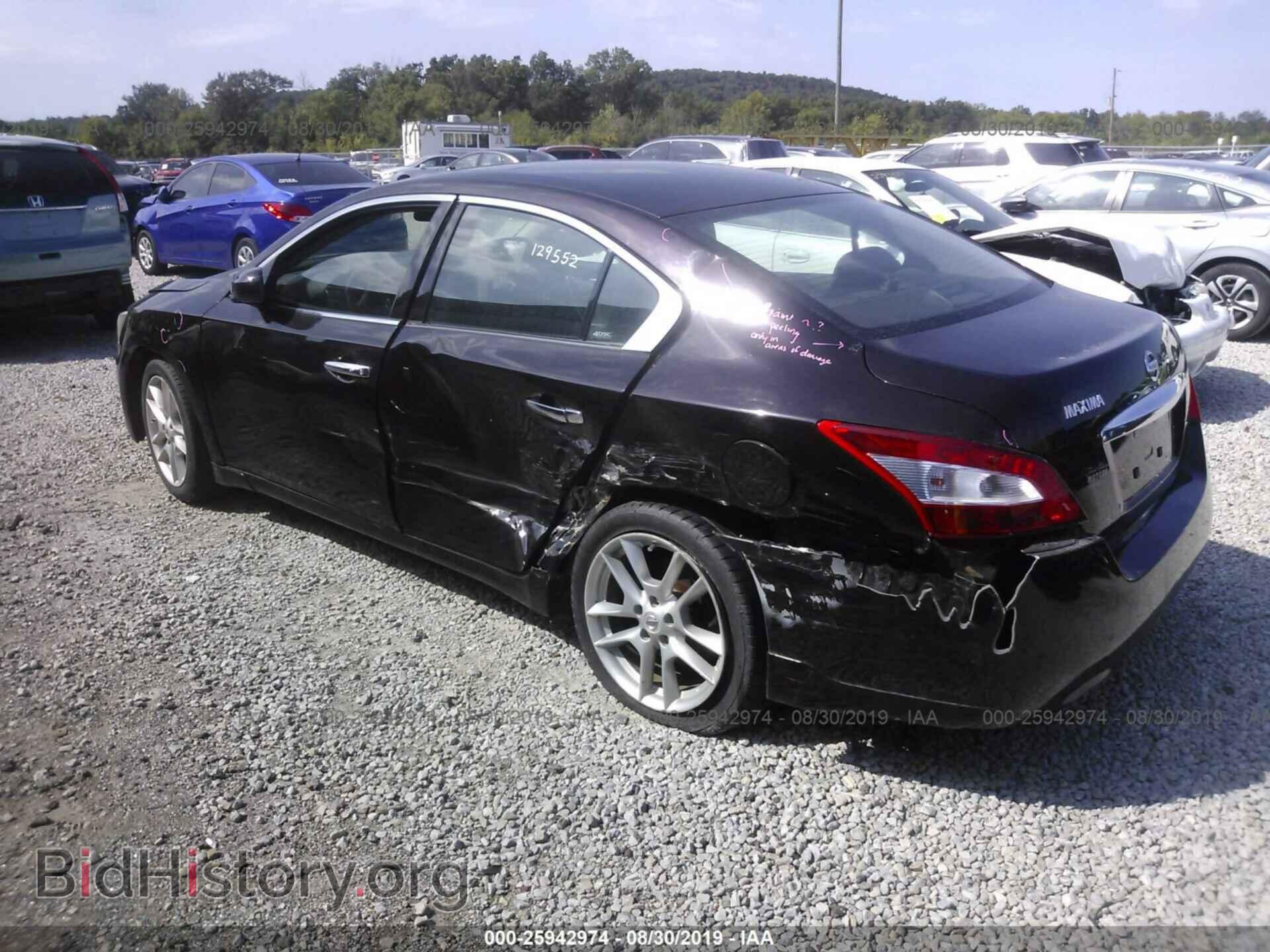 2010 NISSAN MAXIMA - VIN: 1N4AA5AP1AC852261 - Фото 3