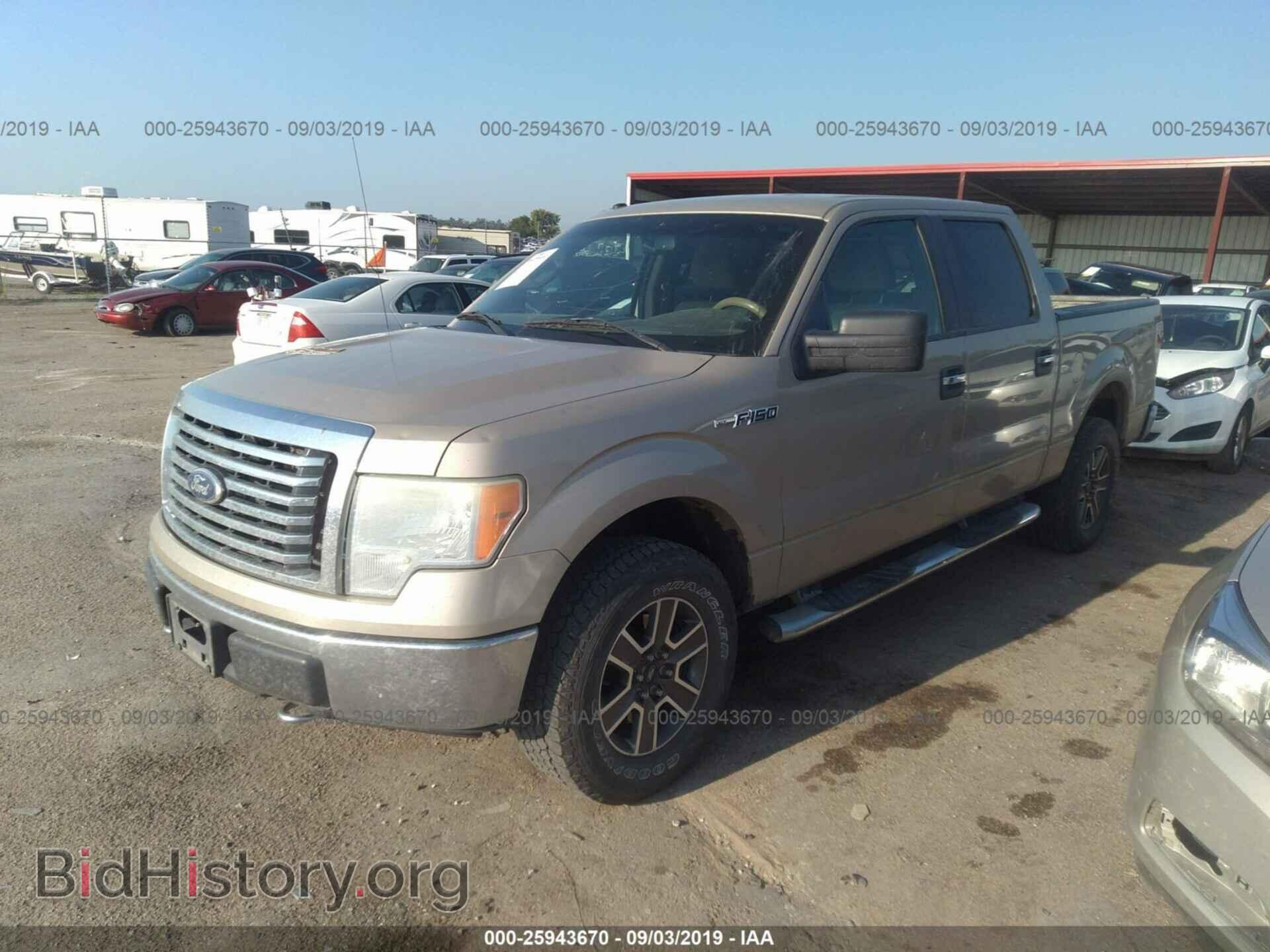 2010 FORD F150 - VIN: 1FTEW1E82AFB33382 - Фото 2