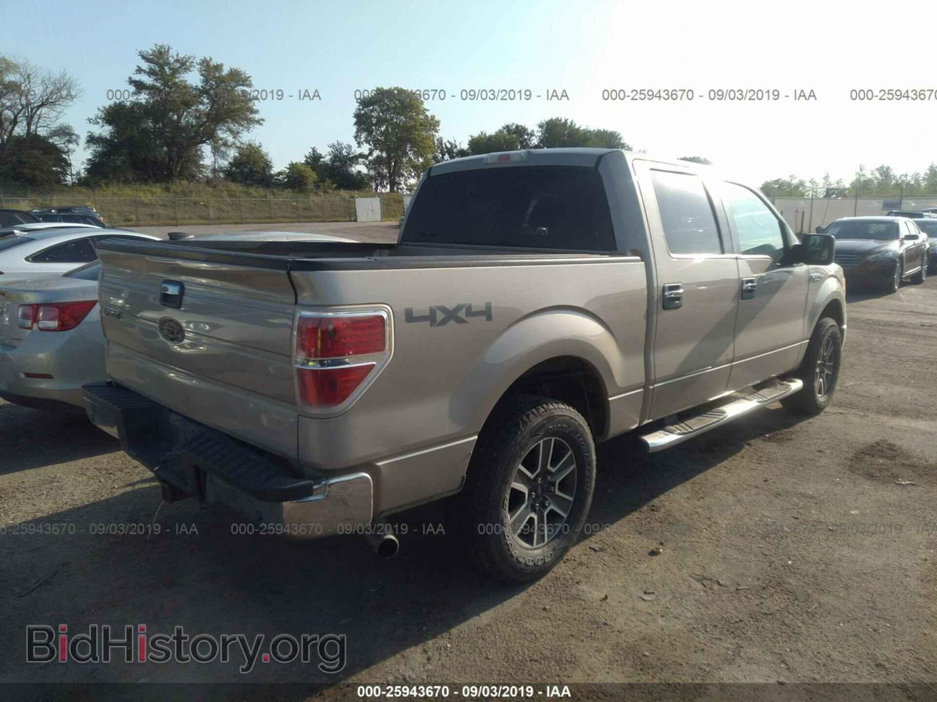 2010 FORD F150 - VIN: 1FTEW1E82AFB33382 - Фото 4