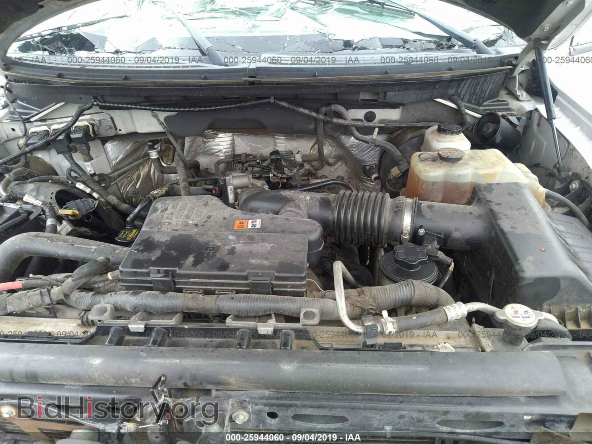 2010 FORD F150 - VIN: 1FTMF1CW5AKB23921 - Фото 10