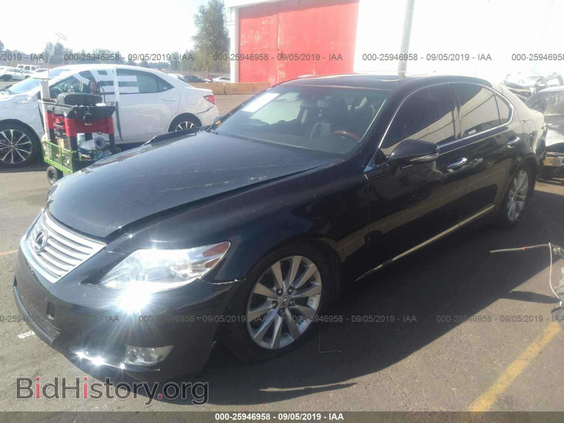 2010 LEXUS LS - VIN: JTHCL5EF3A5005761 - Фото 2