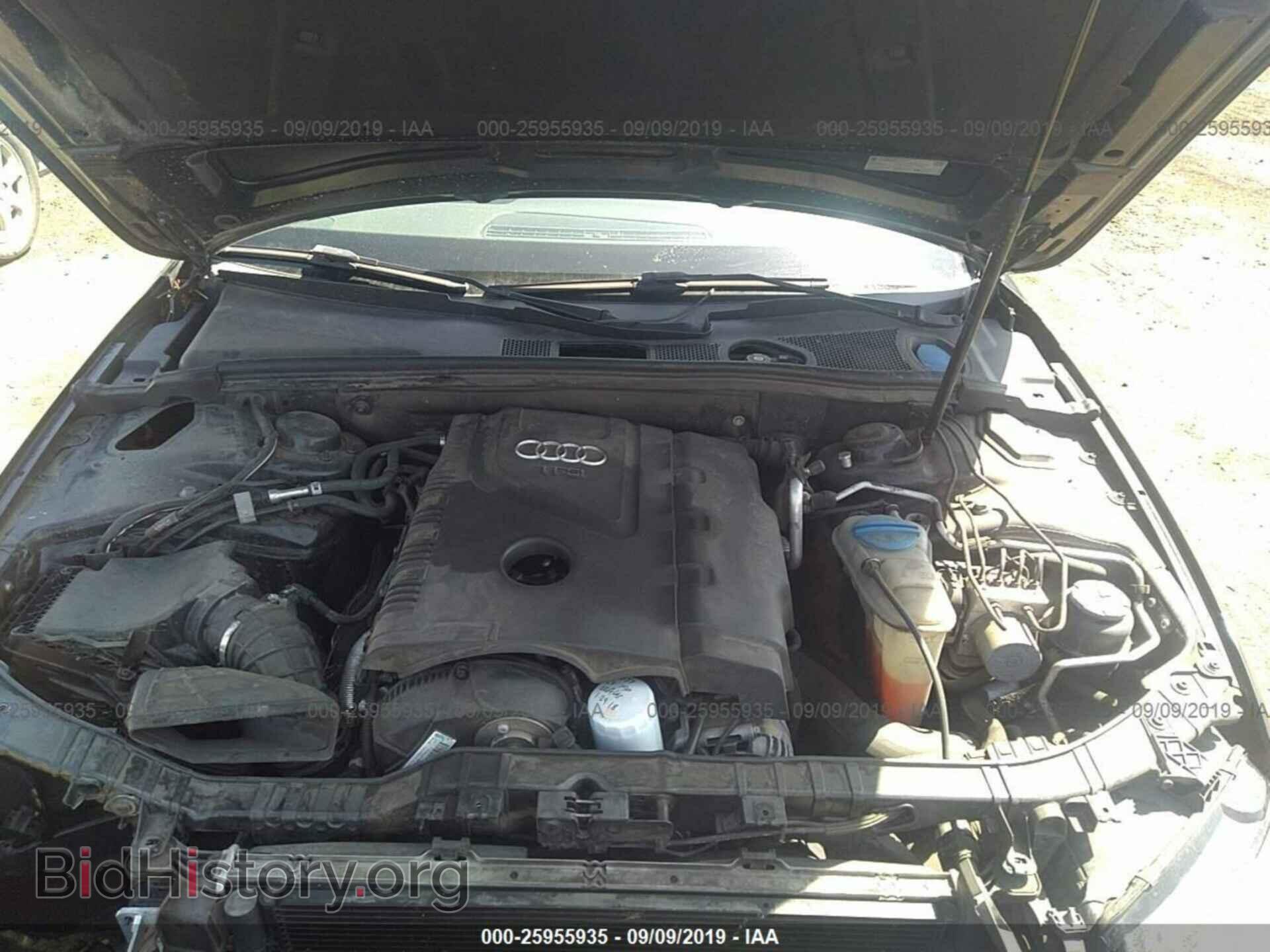 2010 AUDI A4 - VIN: WAUAFAFL0AN031177 - Фото 10