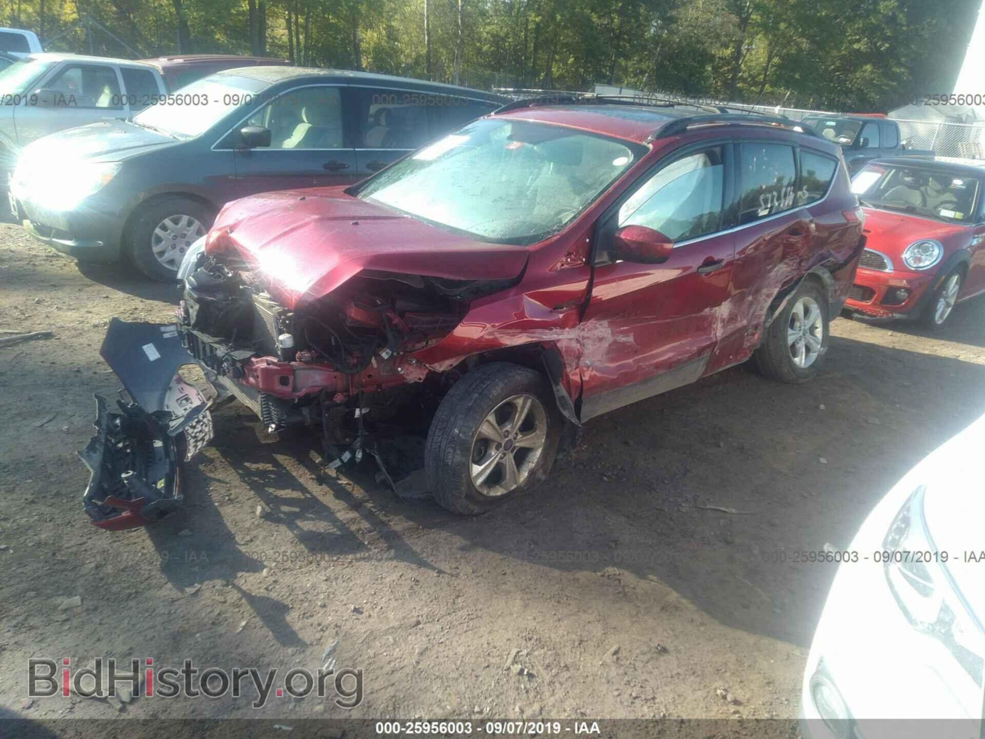 2014 FORD ESCAPE - VIN: 1FMCU9G97EUA71900 - Фото 2