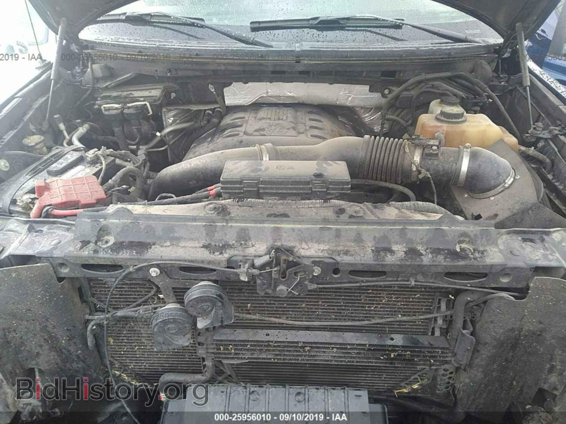 2012 FORD F150 - VIN: 1FTFW1ET3CFA14719 - Фото 10