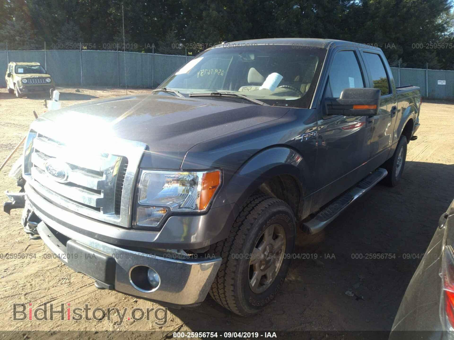 2011 FORD F150 - VIN: 1FTFW1EF5BFC51169 - Фото 2