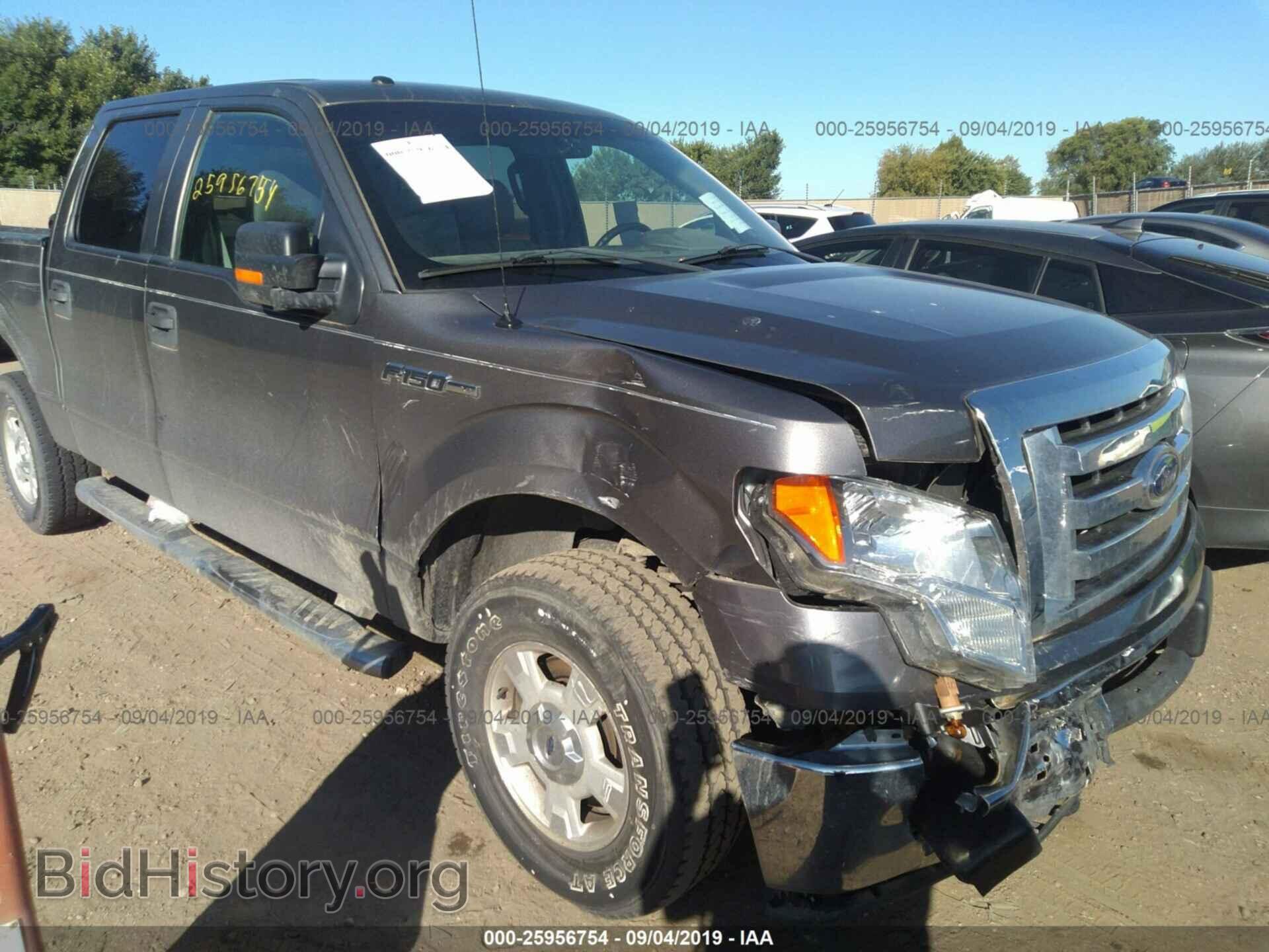 2011 FORD F150 - VIN: 1FTFW1EF5BFC51169 - Фото 6