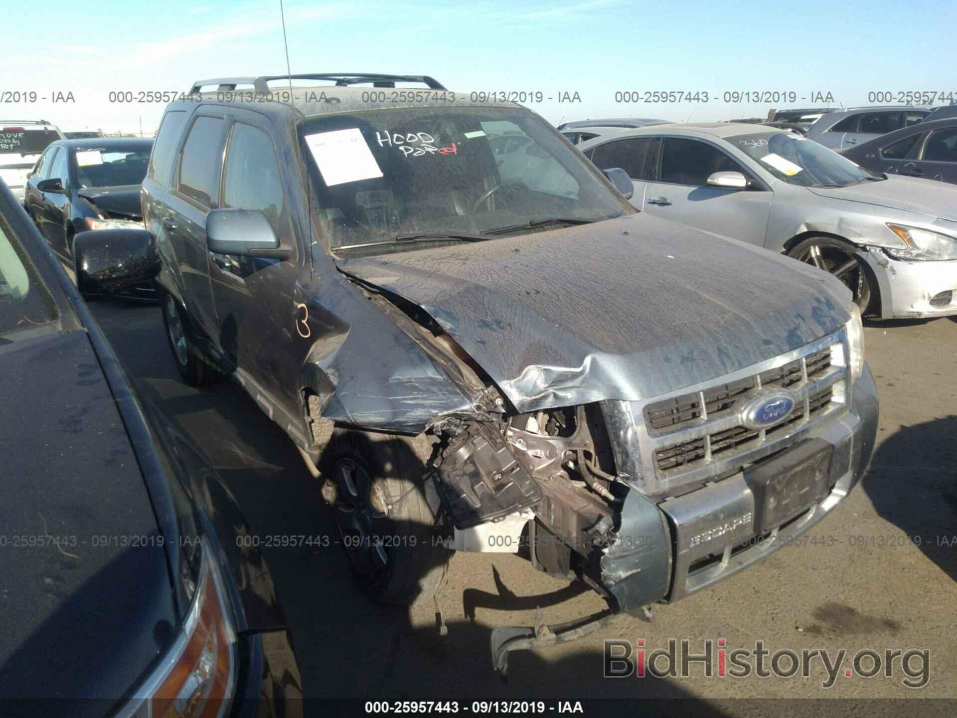 Photo 1FMCU9EGXBKC06344 - FORD ESCAPE 2011