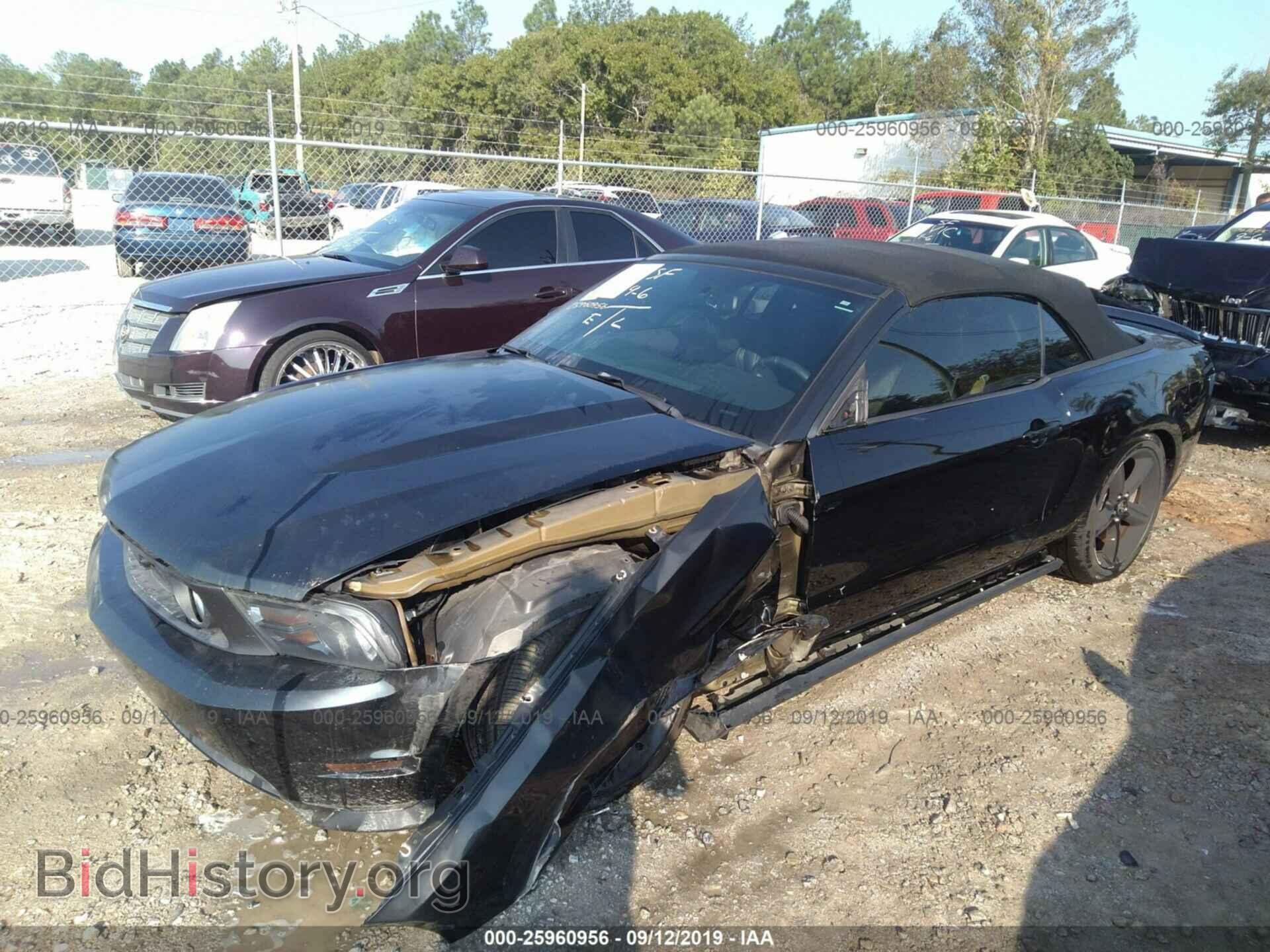 2011 FORD MUSTANG - VIN: 1ZVBP8FF4B5121583 - Фото 2