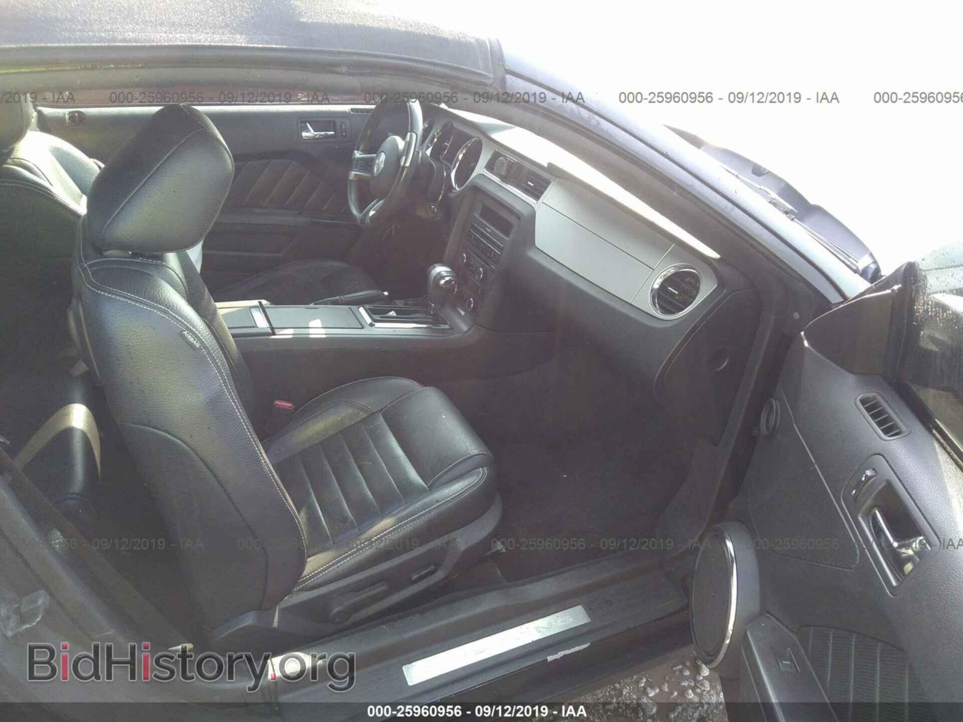 2011 FORD MUSTANG - VIN: 1ZVBP8FF4B5121583 - Фото 5