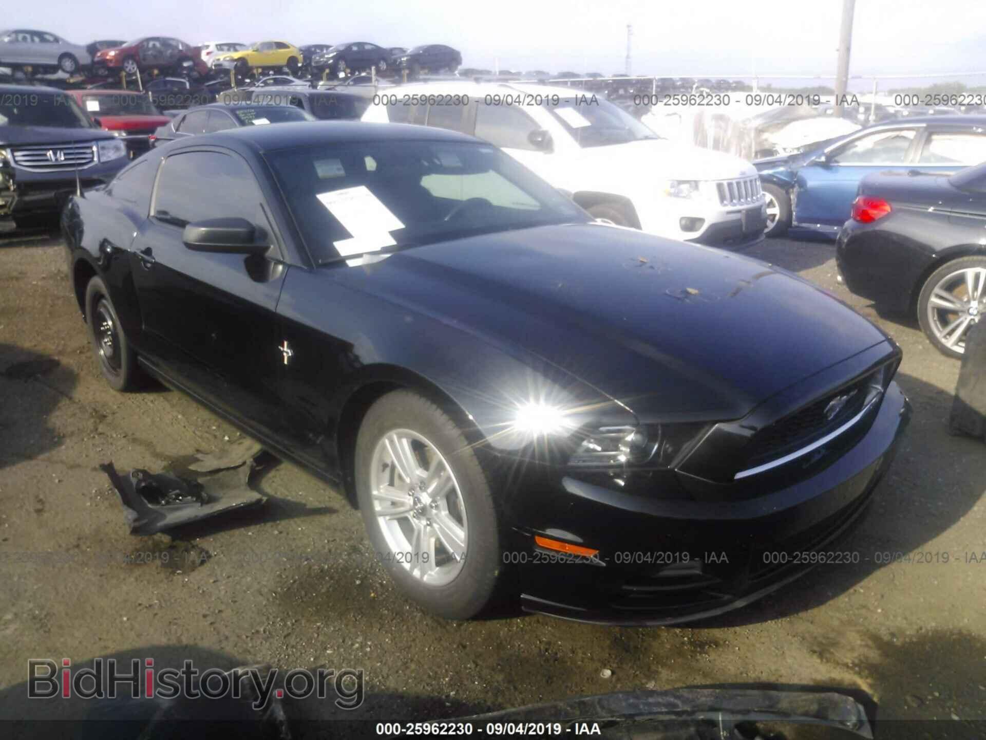 Photo 1ZVBP8AM4E5302340 - FORD MUSTANG 2014