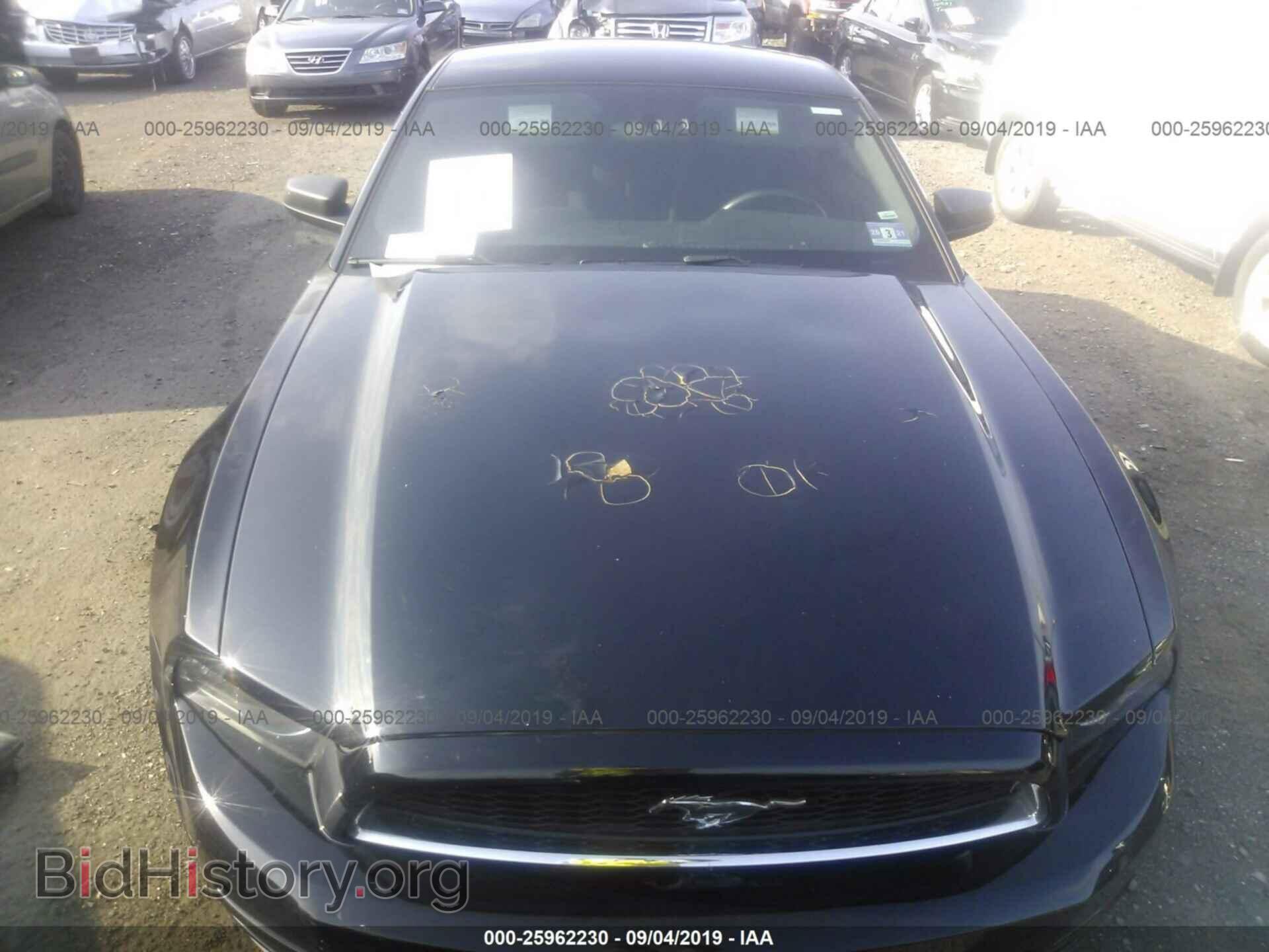 2014 FORD MUSTANG - VIN: 1ZVBP8AM4E5302340 - Фото 6