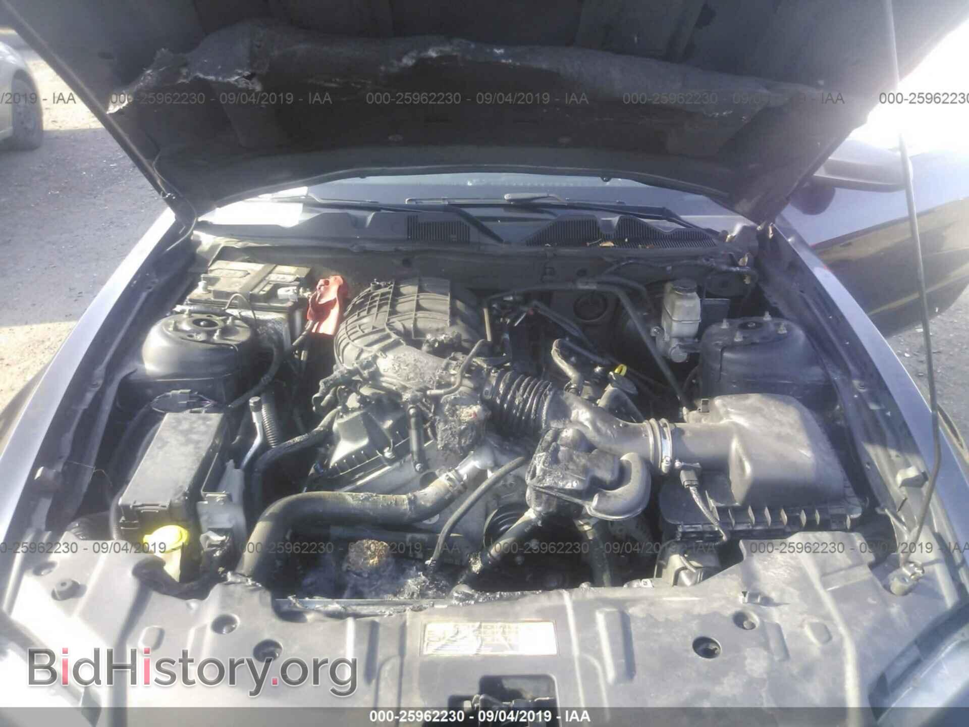 2014 FORD MUSTANG - VIN: 1ZVBP8AM4E5302340 - Фото 10