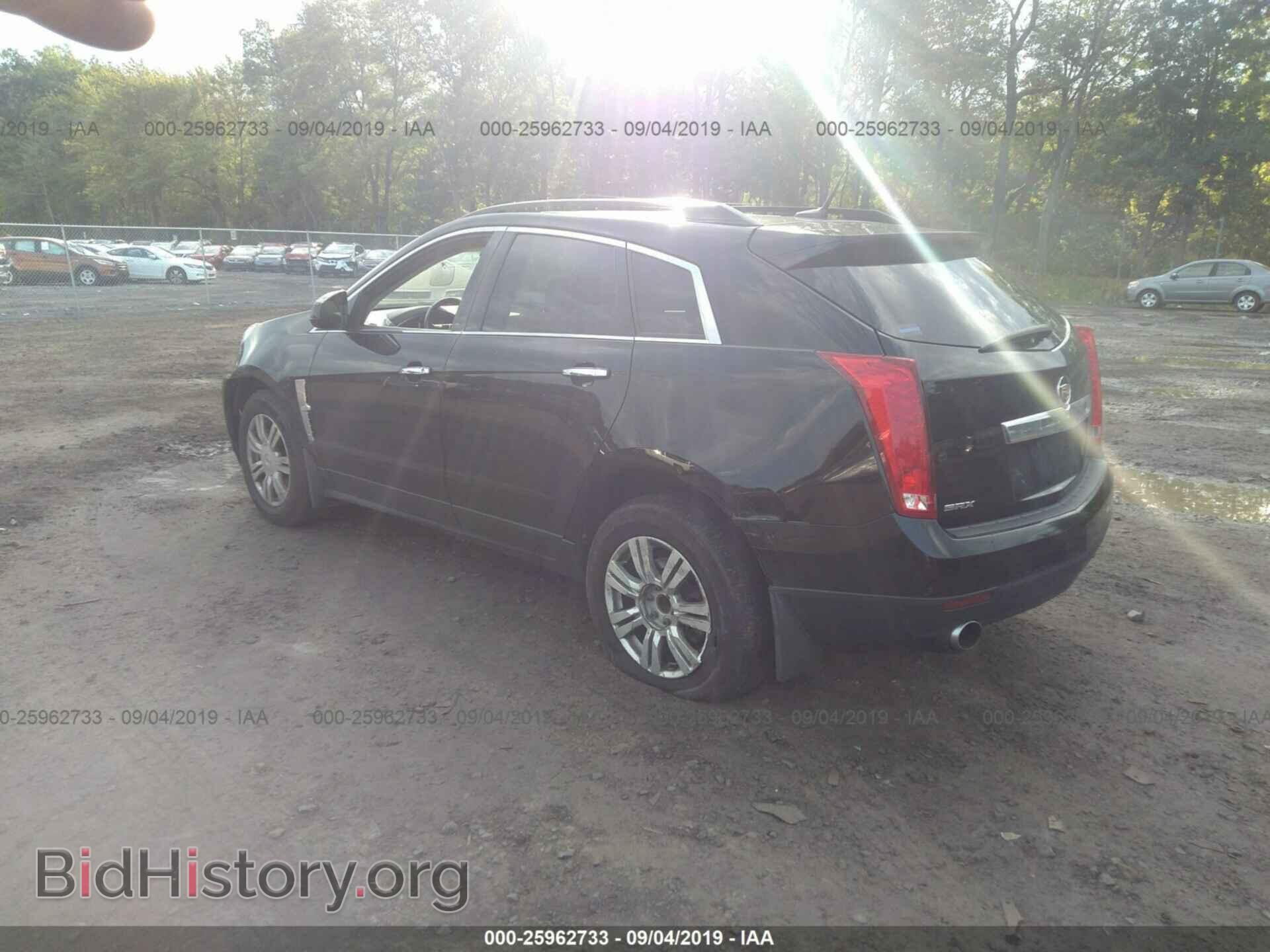 2011 CADILLAC SRX - VIN: 3GYFNGEY5BS673696 - Фото 3