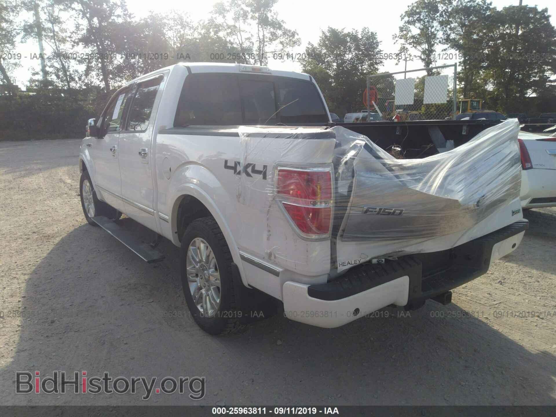 2010 FORD F150 - VIN: 1FTFW1EV9AFB84646 - Фото 3