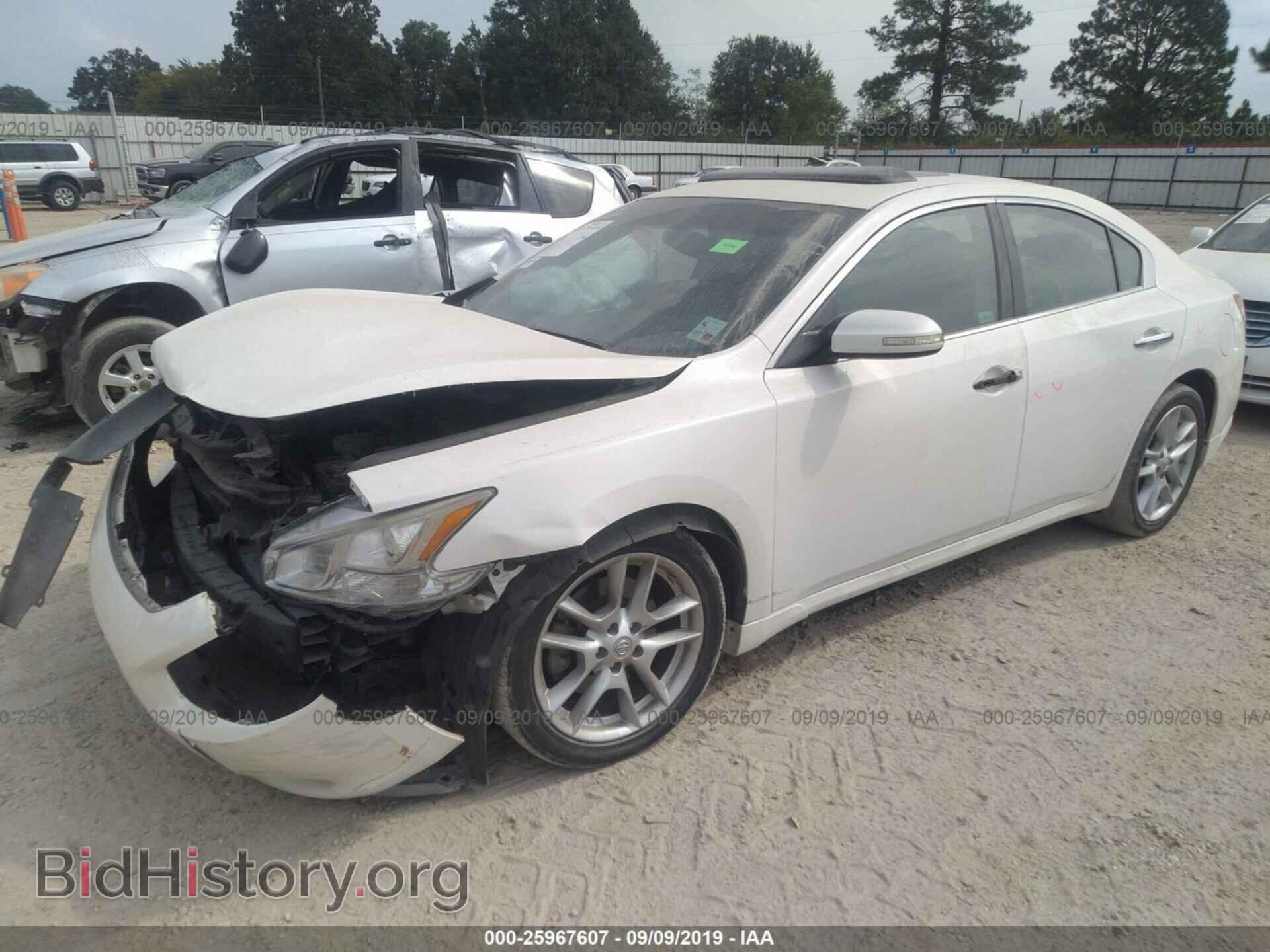 2010 NISSAN MAXIMA - VIN: 1N4AA5AP1AC818322 - Фото 2
