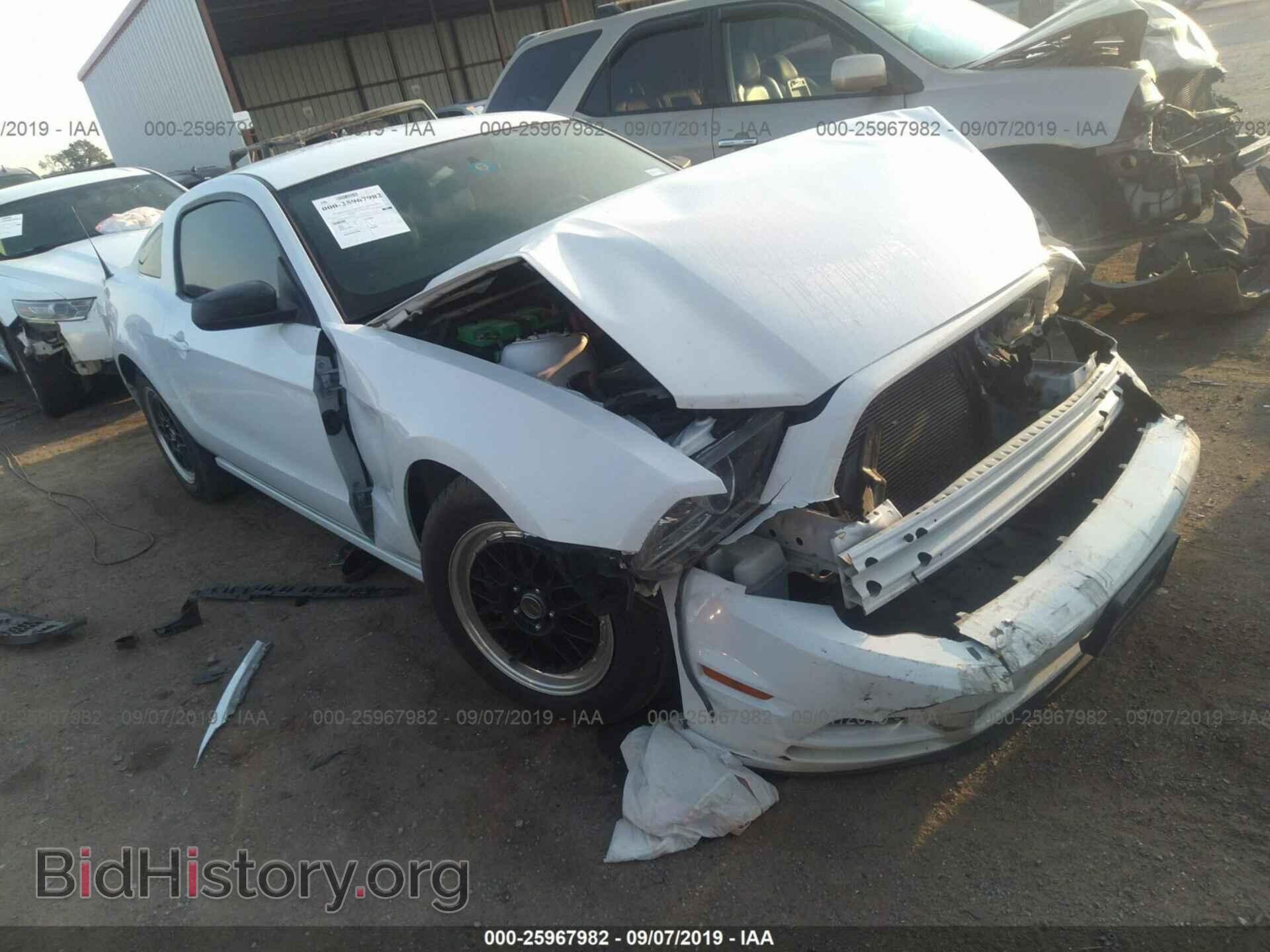 Фотография 1ZVBP8AM6E5284438 - FORD MUSTANG 2014