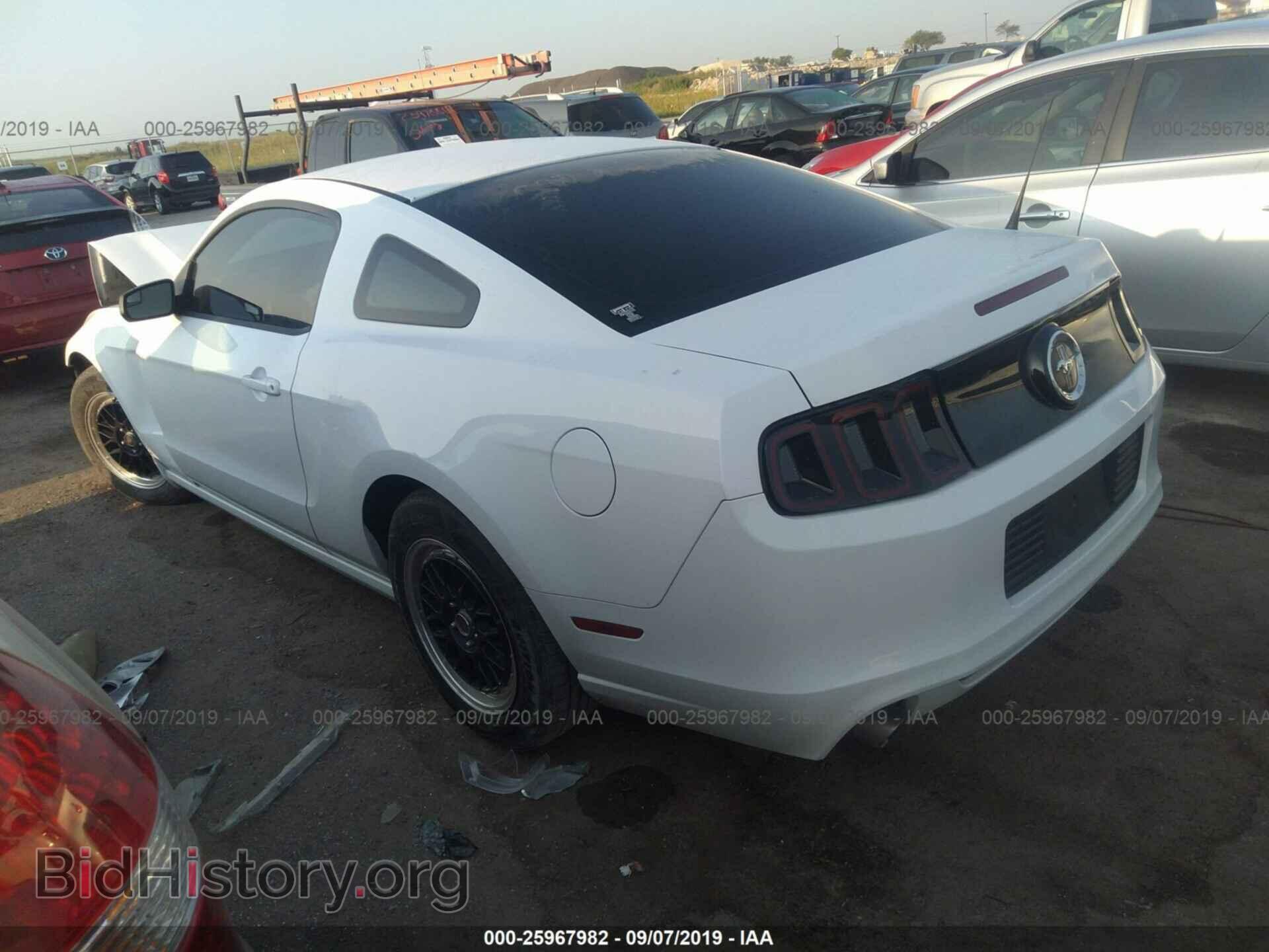 2014 FORD MUSTANG - VIN: 1ZVBP8AM6E5284438 - Фото 3