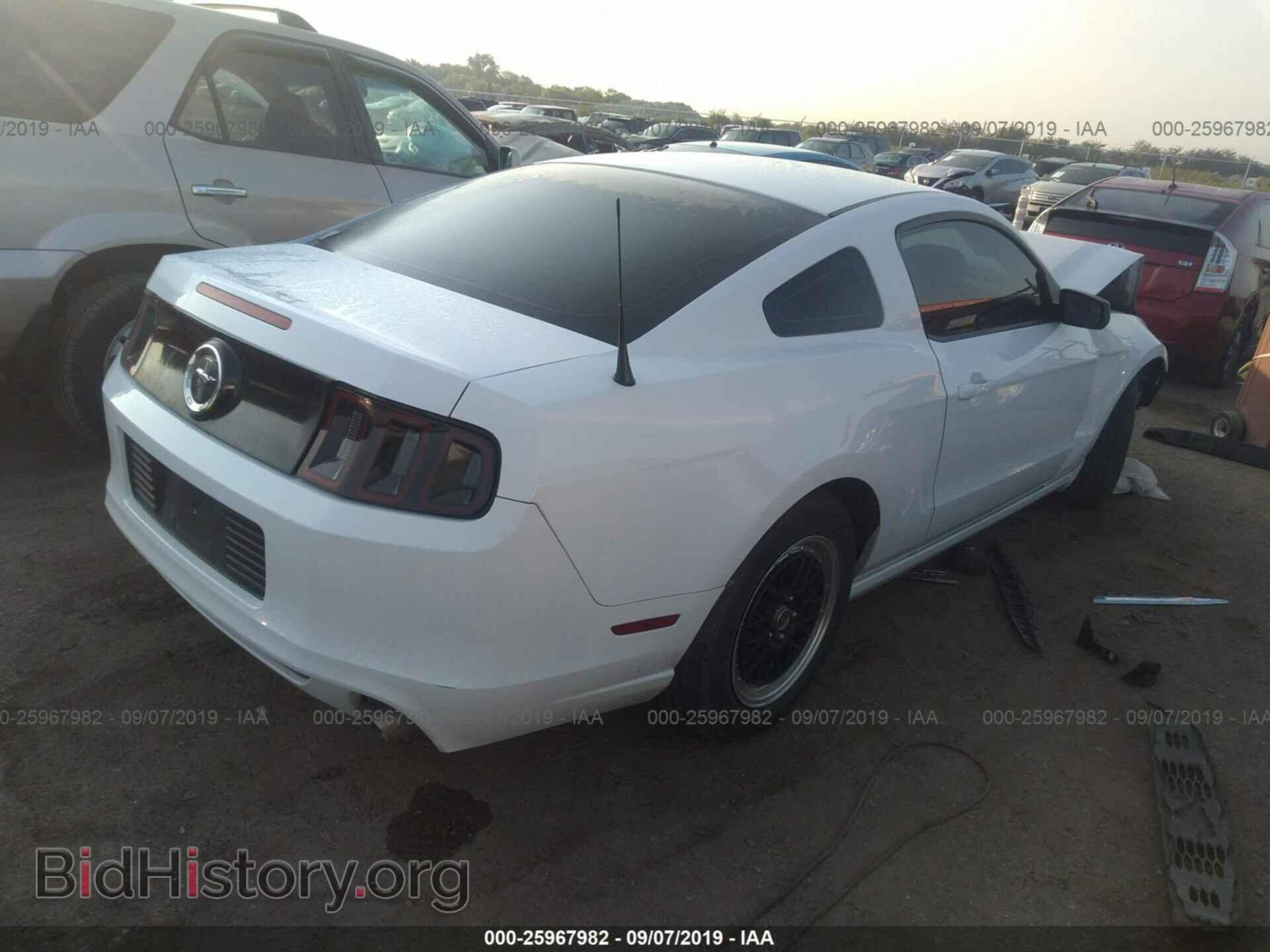 2014 FORD MUSTANG - VIN: 1ZVBP8AM6E5284438 - Фото 4
