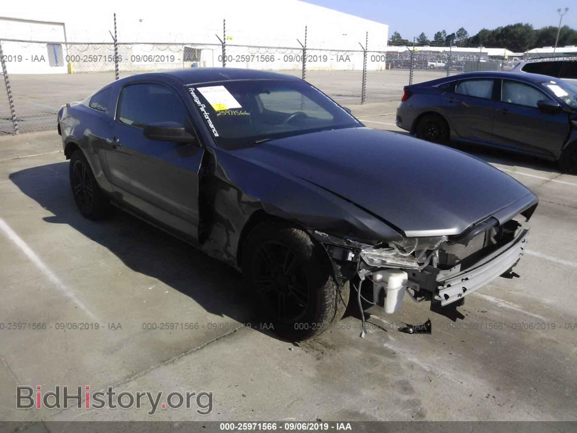Фотография 1ZVBP8AM4E5273065 - FORD MUSTANG 2014