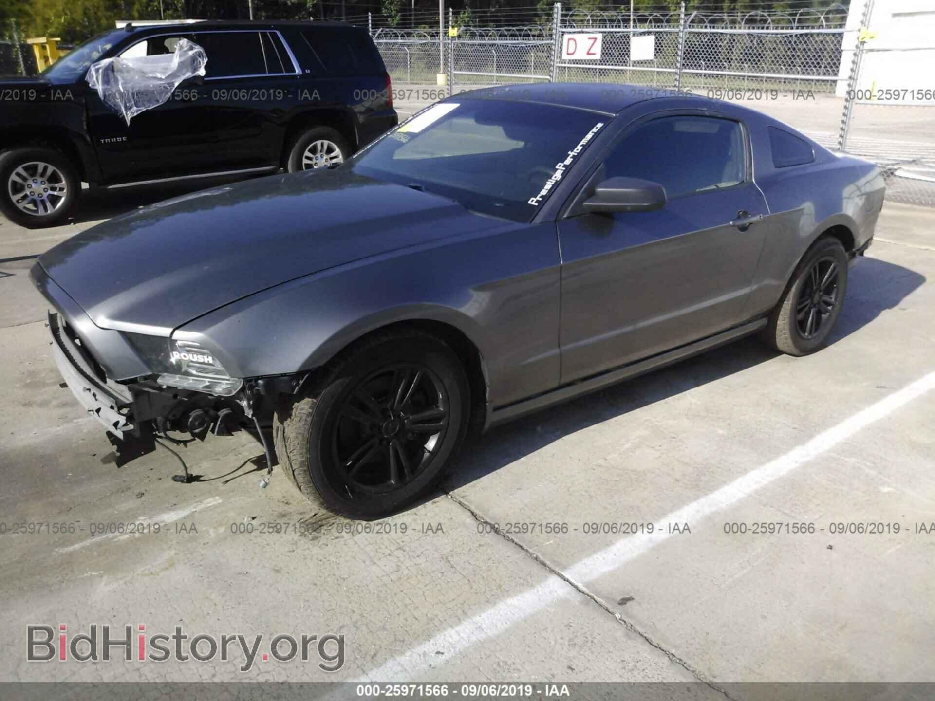 2014 FORD MUSTANG - VIN: 1ZVBP8AM4E5273065 - Фото 2