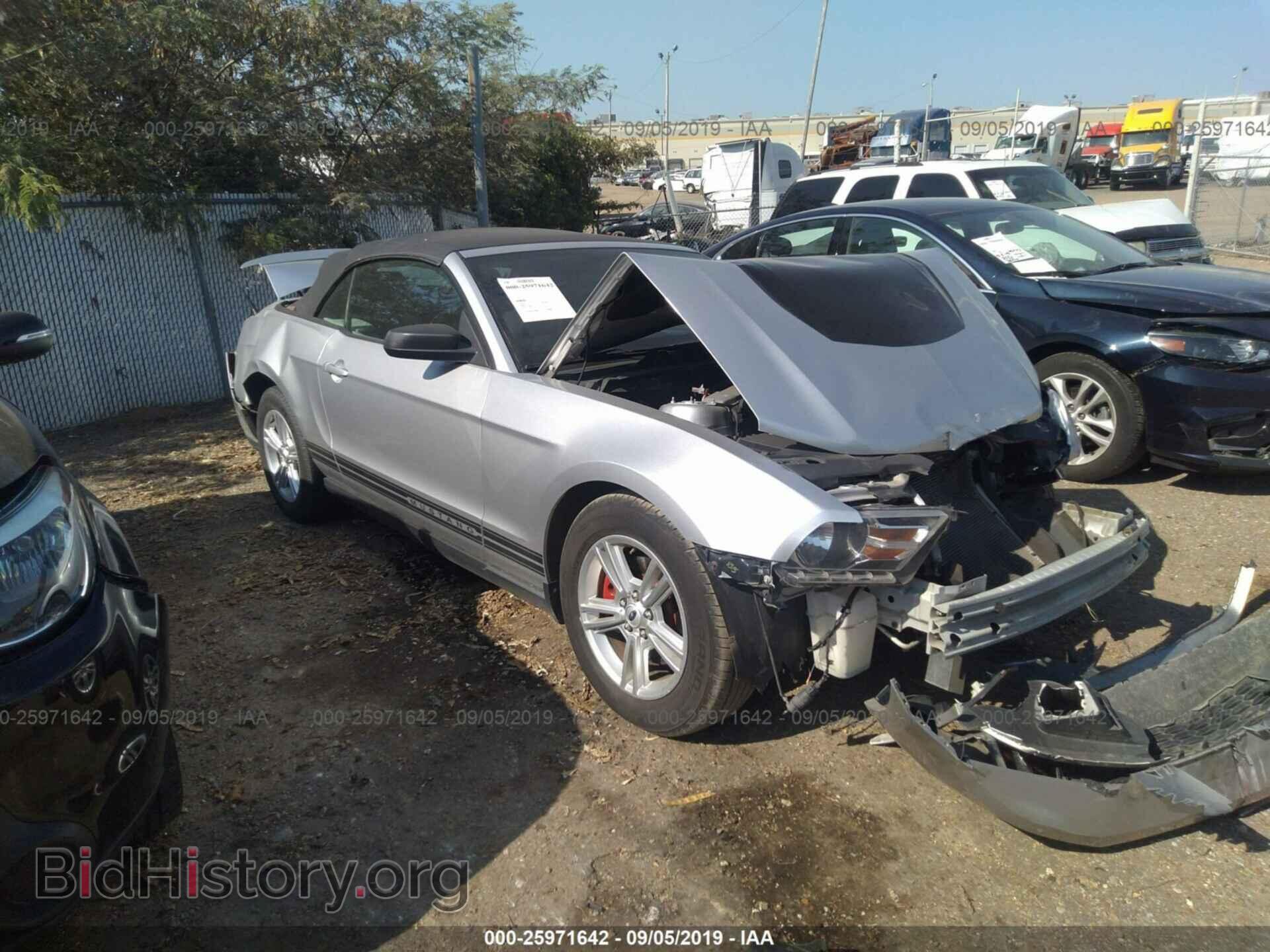 Фотография 1ZVBP8EM8B5157826 - FORD MUSTANG 2011