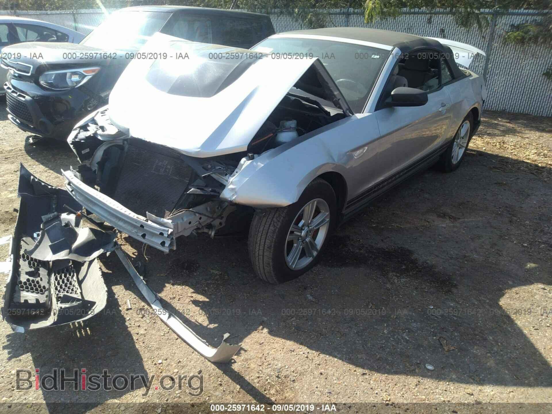 2011 FORD MUSTANG - VIN: 1ZVBP8EM8B5157826 - Фото 2