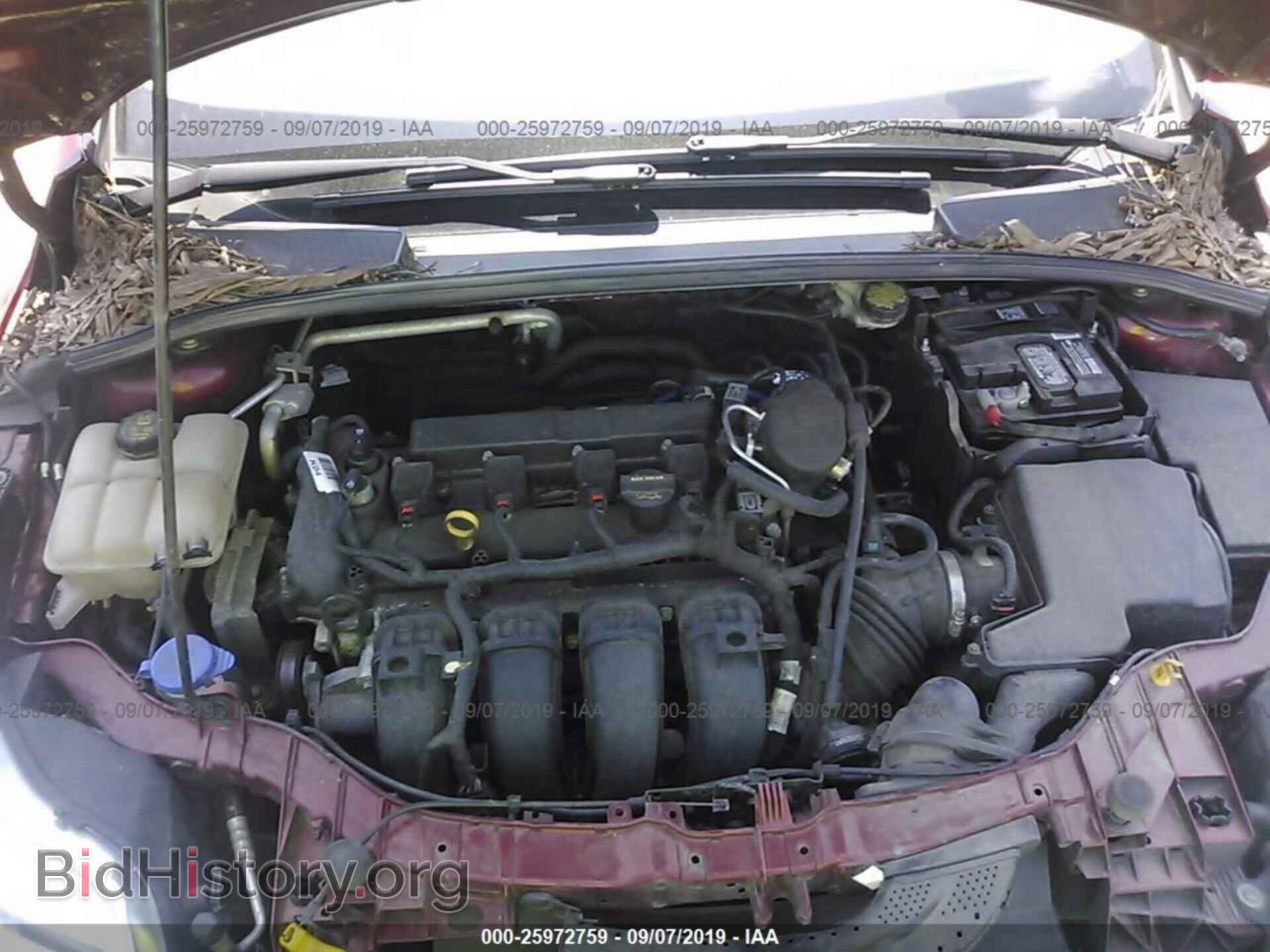 2014 FORD FOCUS - VIN: 1FADP3K24EL283396 - Фото 10