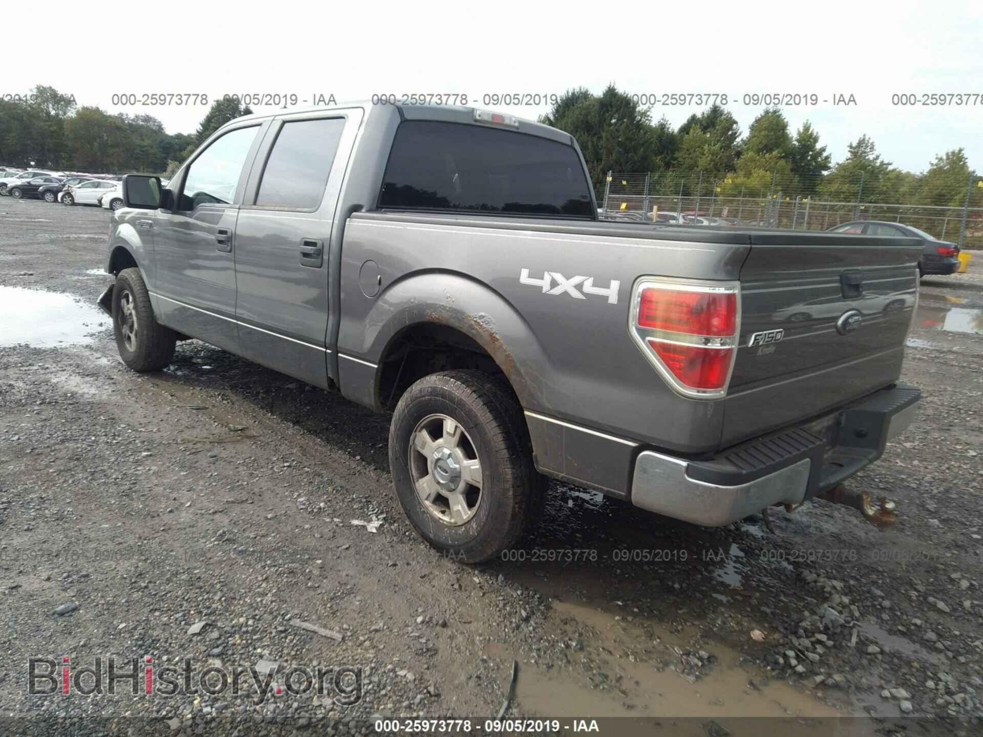 2010 FORD F150 - VIN: 1FTEW1E83AFA29211 - Фото 3