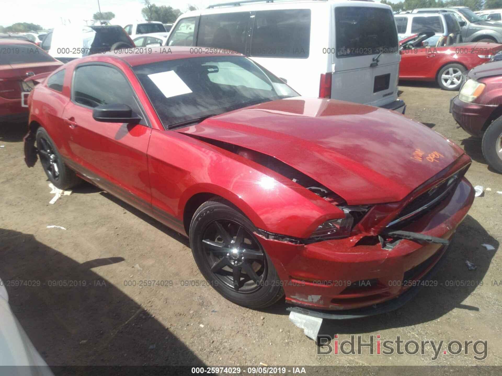 Photo 1ZVBP8AMXD5249934 - FORD MUSTANG 2013