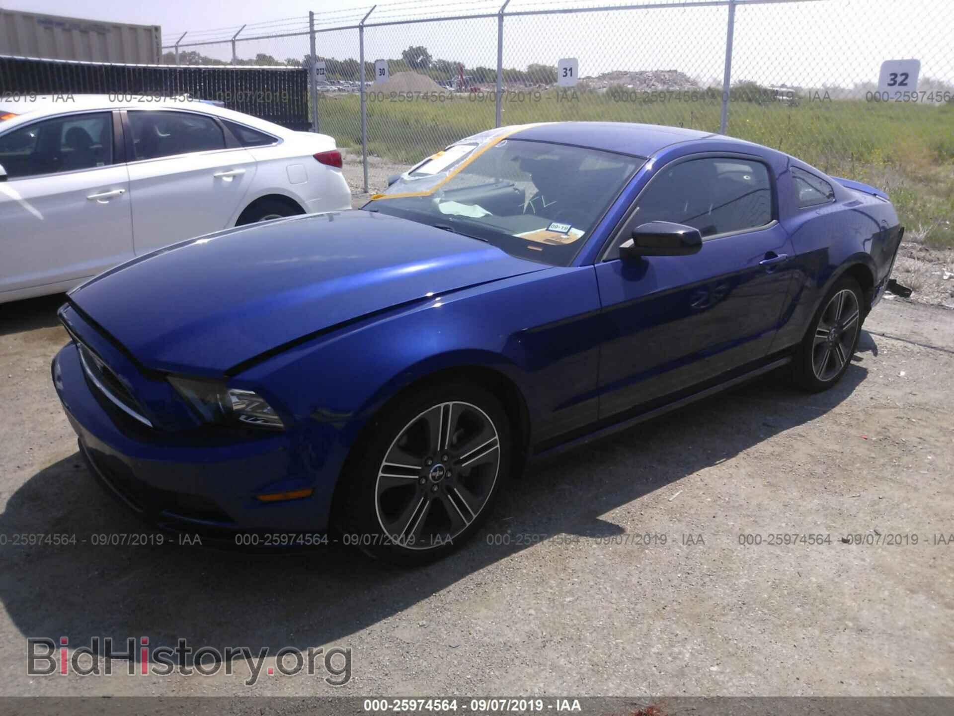 2013 FORD MUSTANG - VIN: 1ZVBP8AM5D5254765 - Фото 2