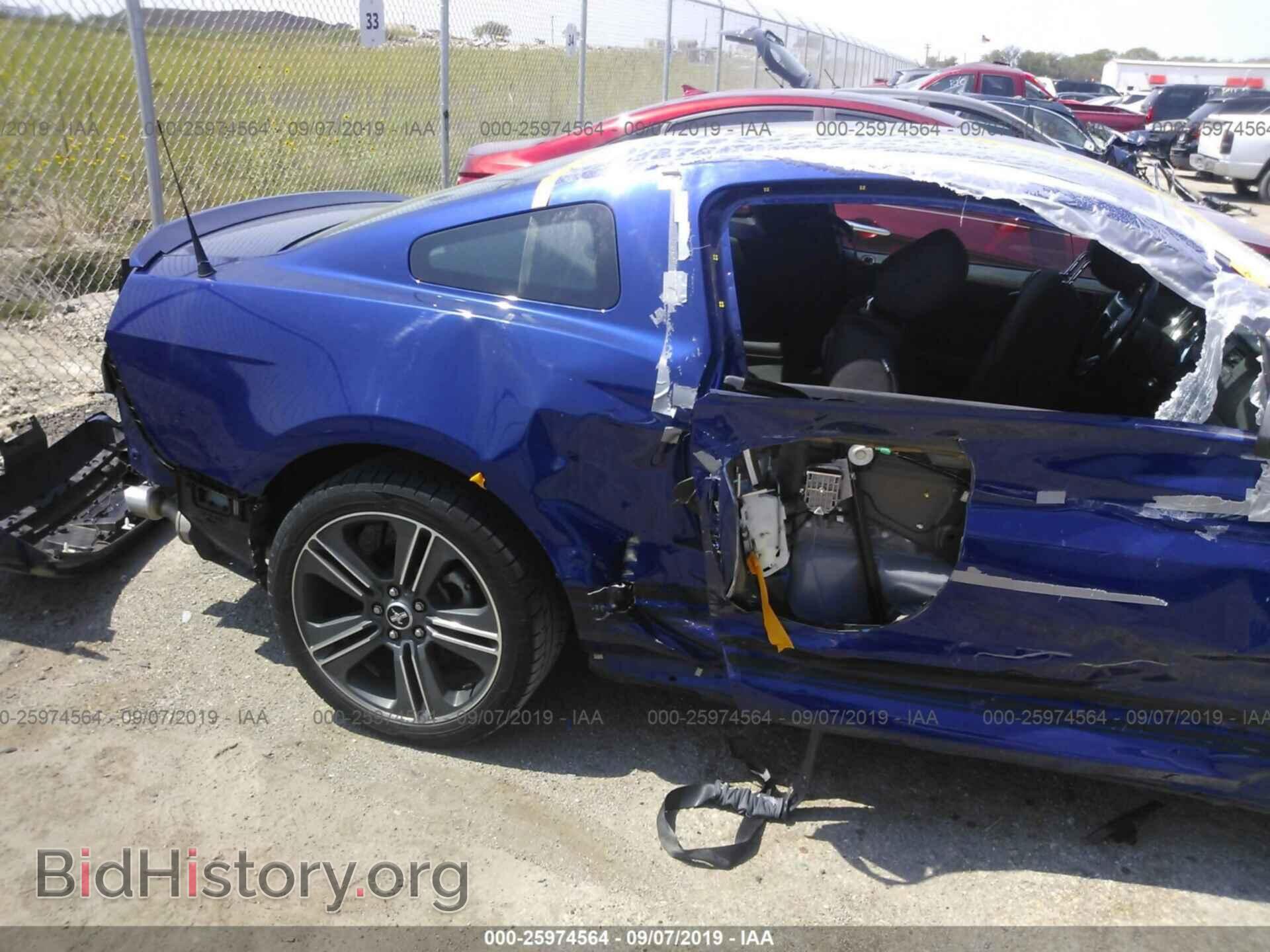 2013 FORD MUSTANG - VIN: 1ZVBP8AM5D5254765 - Фото 6