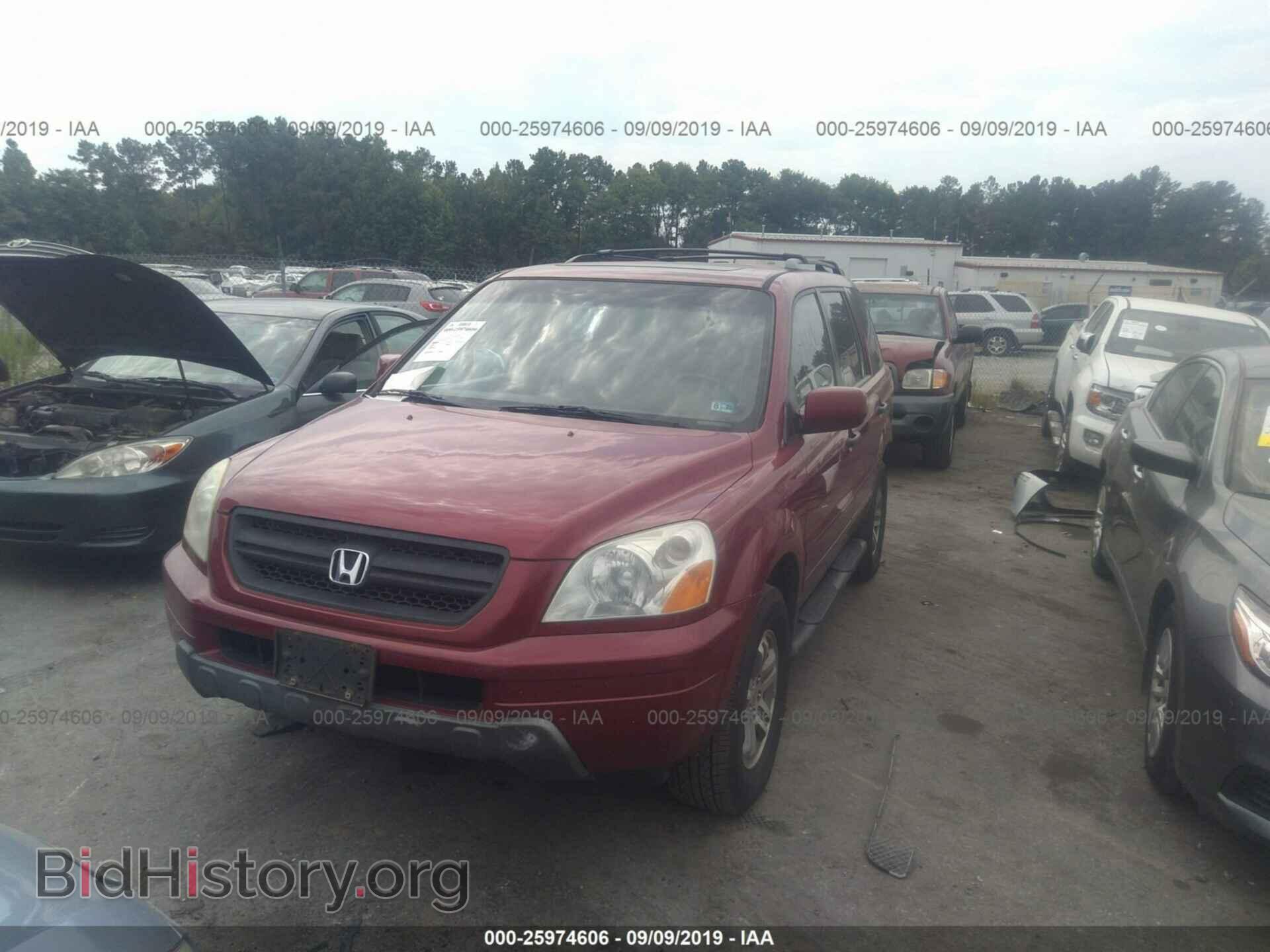 2005 HONDA PILOT - VIN: 5FNYF18595B038049 - Фото 2