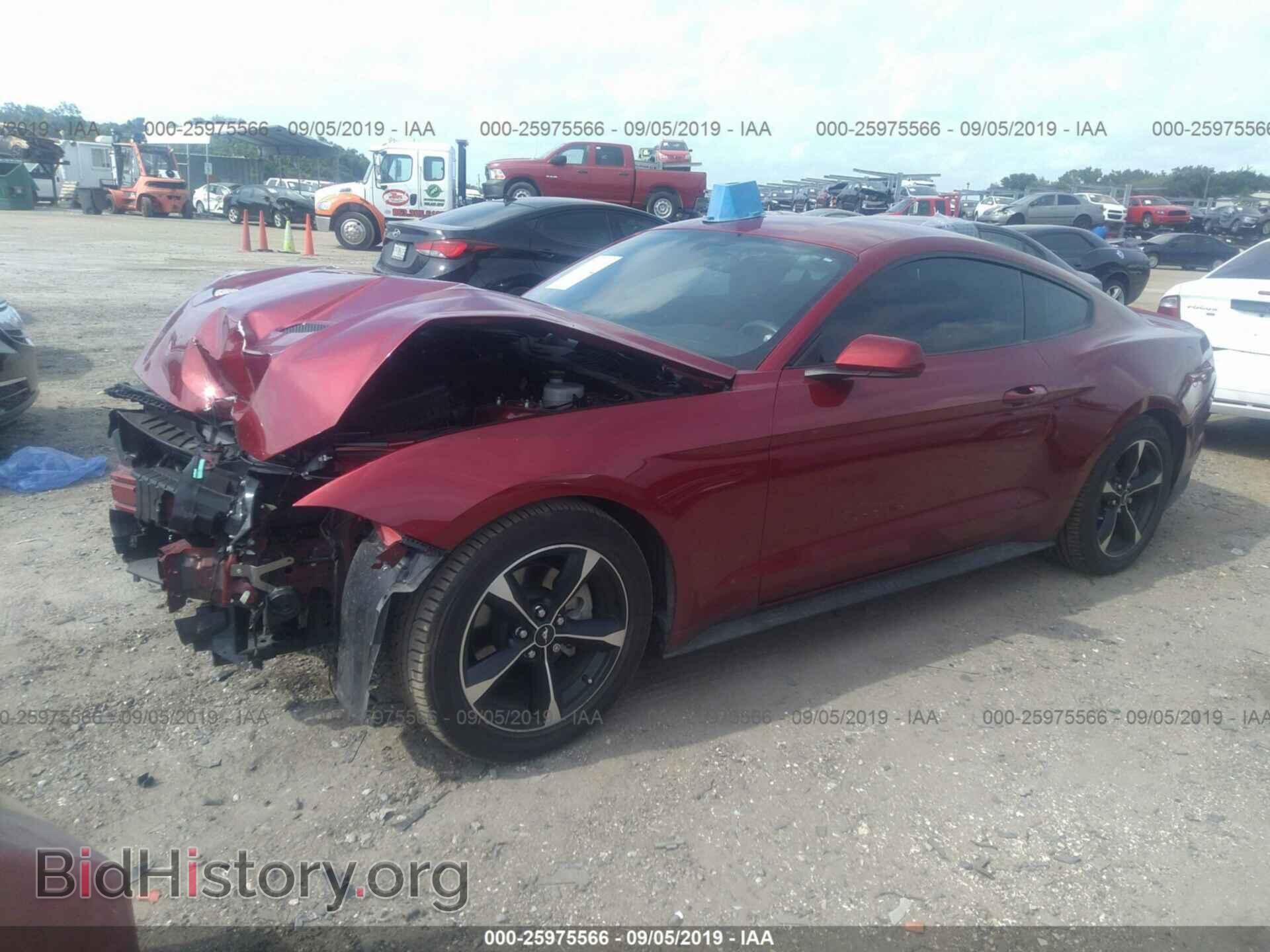2019 FORD MUSTANG - VIN: 1FA6P8TH7K5132917 - Фото 2