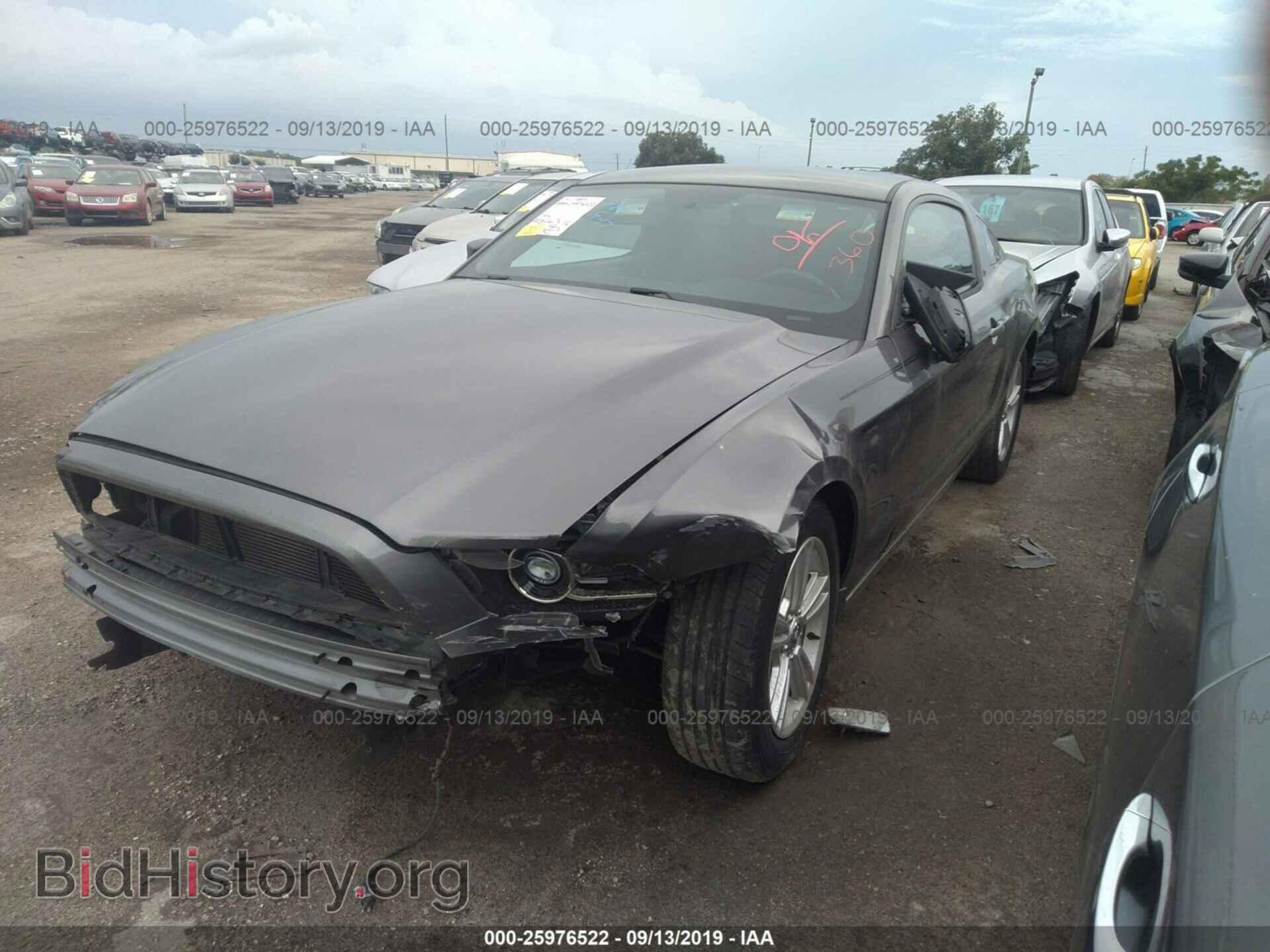 2014 FORD MUSTANG - VIN: 1ZVBP8AM8E5304382 - Фото 2