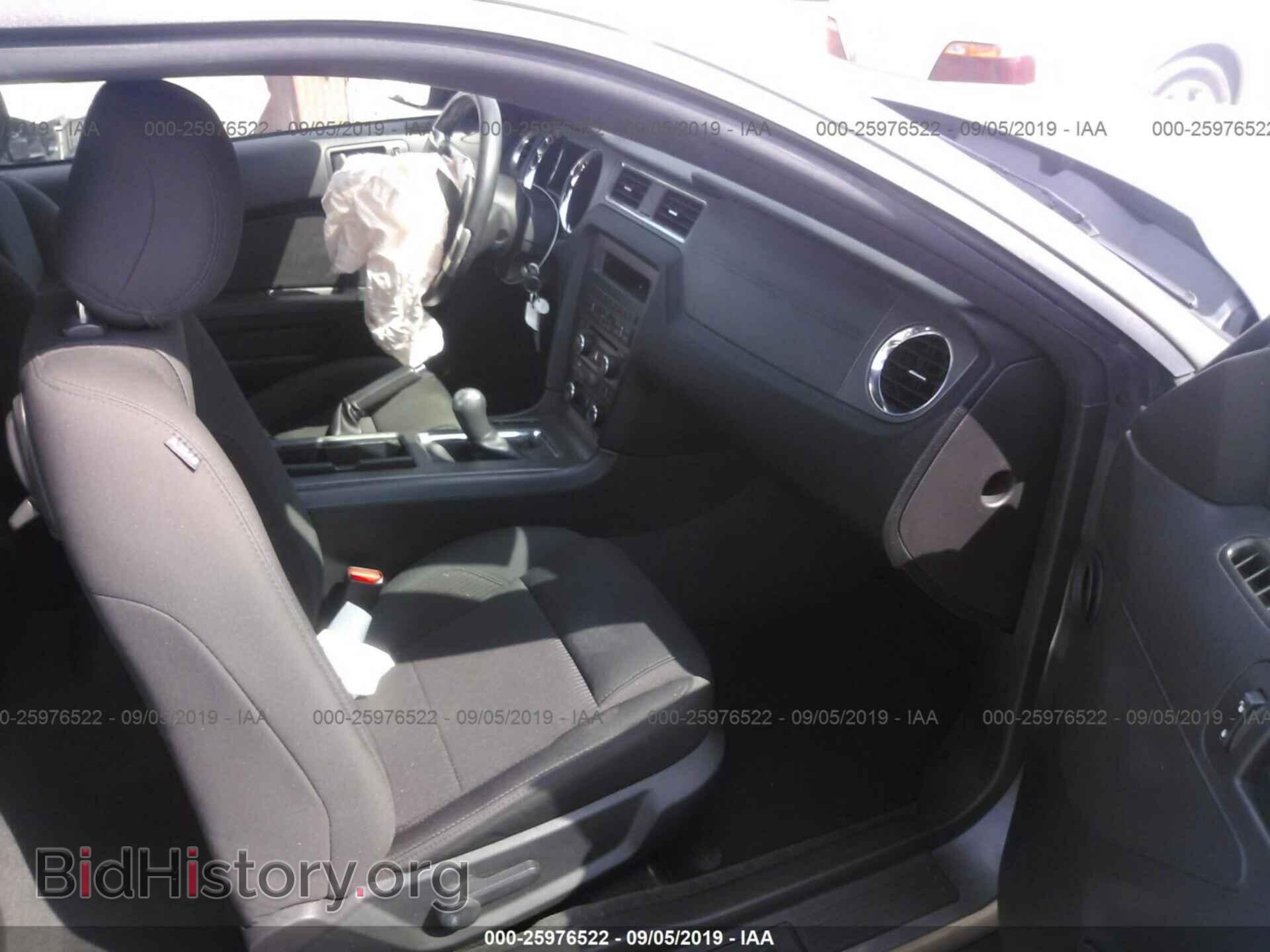 2014 FORD MUSTANG - VIN: 1ZVBP8AM8E5304382 - Фото 5