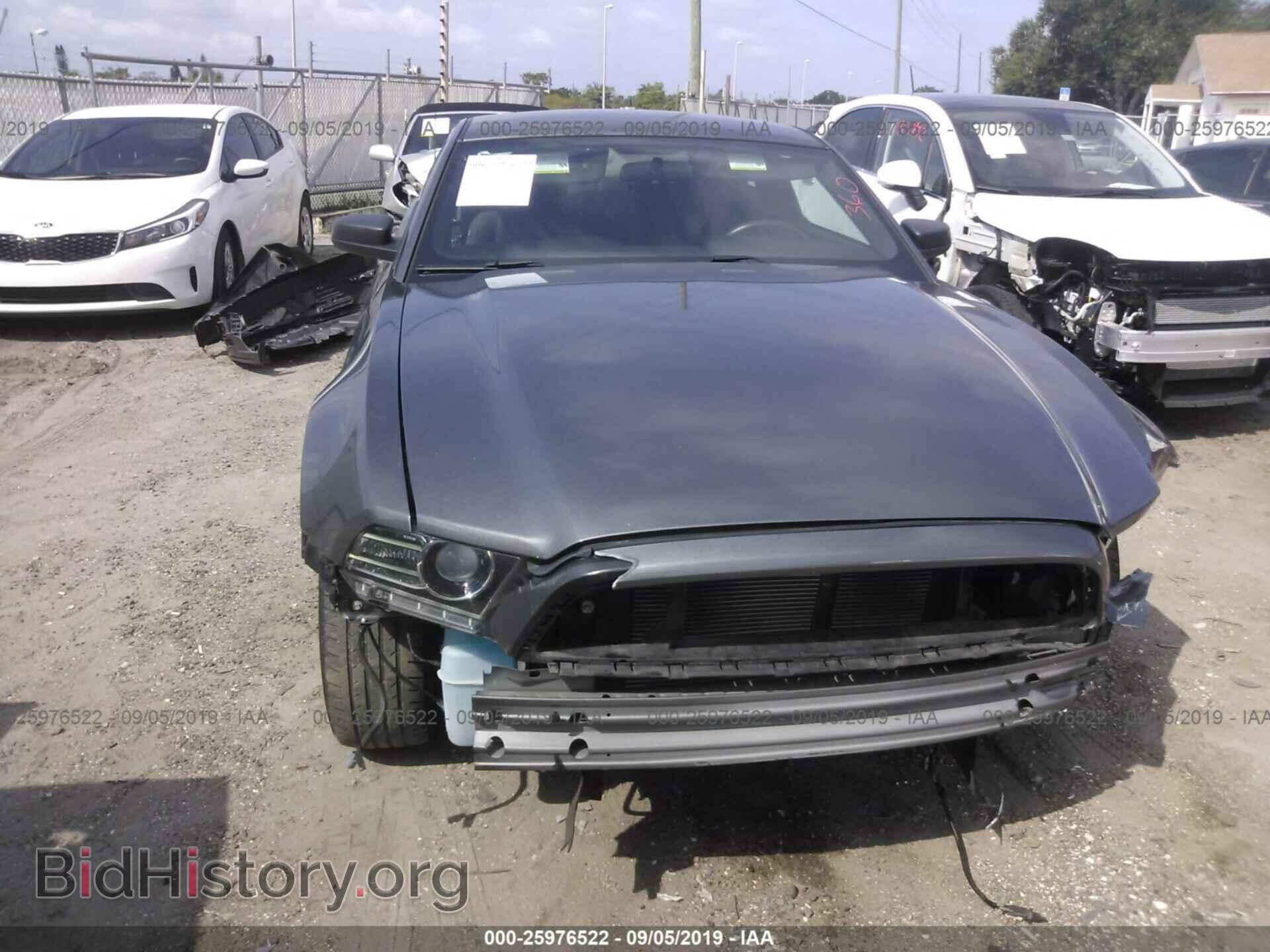 2014 FORD MUSTANG - VIN: 1ZVBP8AM8E5304382 - Фото 6