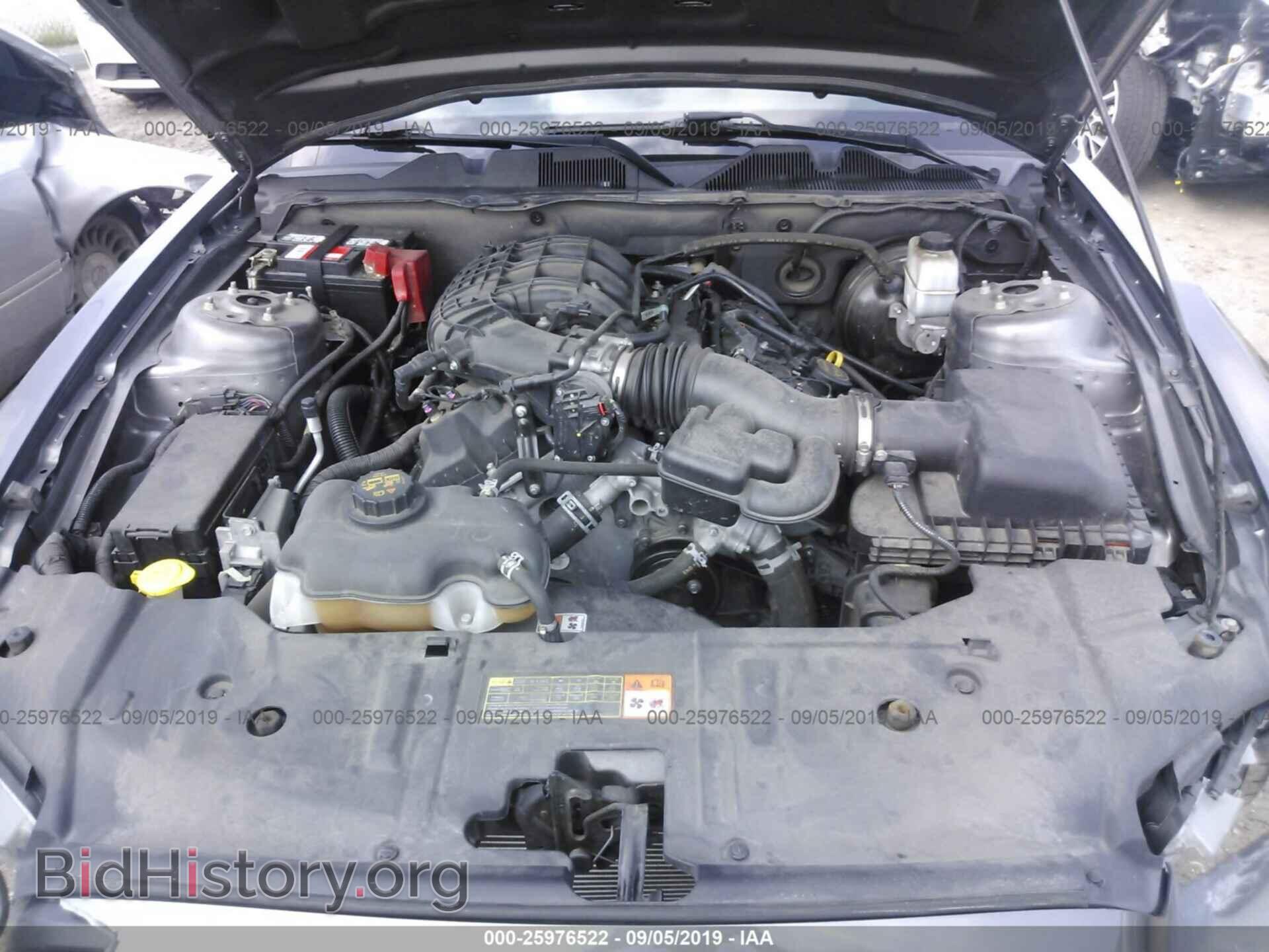 2014 FORD MUSTANG - VIN: 1ZVBP8AM8E5304382 - Фото 10