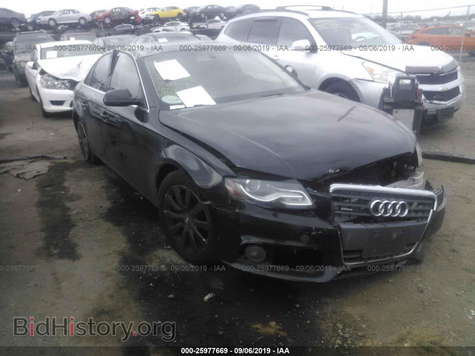Фотография WAUFFAFL7AN001437 - AUDI A4 2010