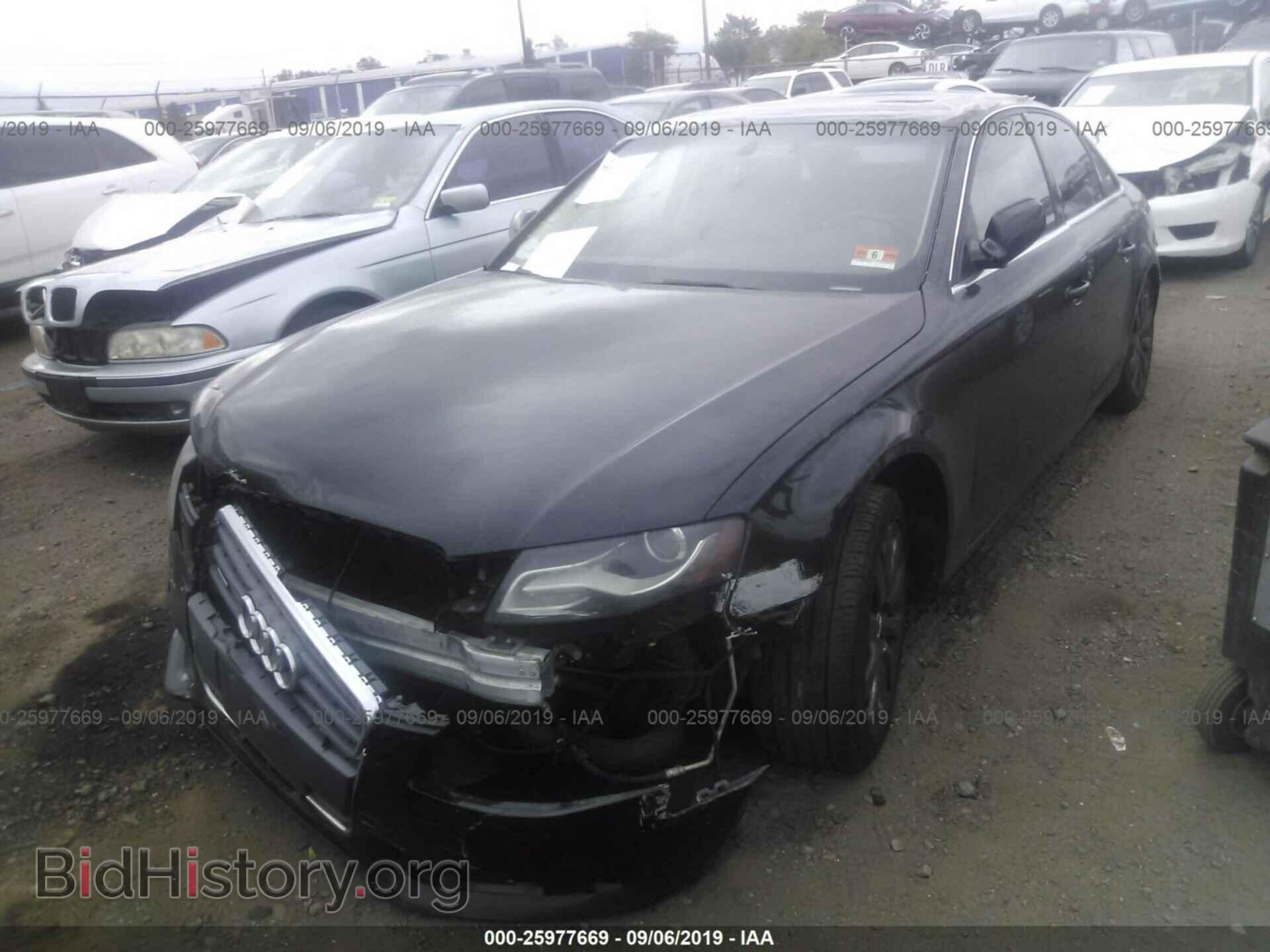 2010 AUDI A4 - VIN: WAUFFAFL7AN001437 - Фото 2