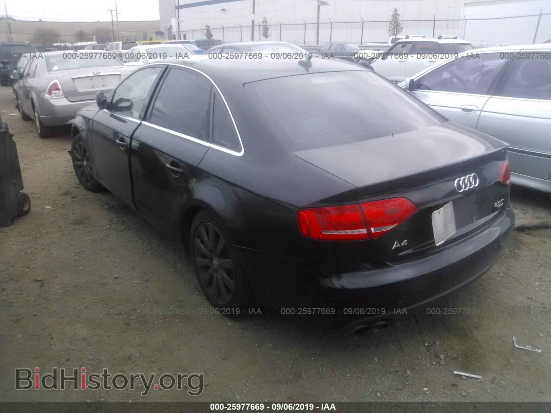 2010 AUDI A4 - VIN: WAUFFAFL7AN001437 - Фото 3