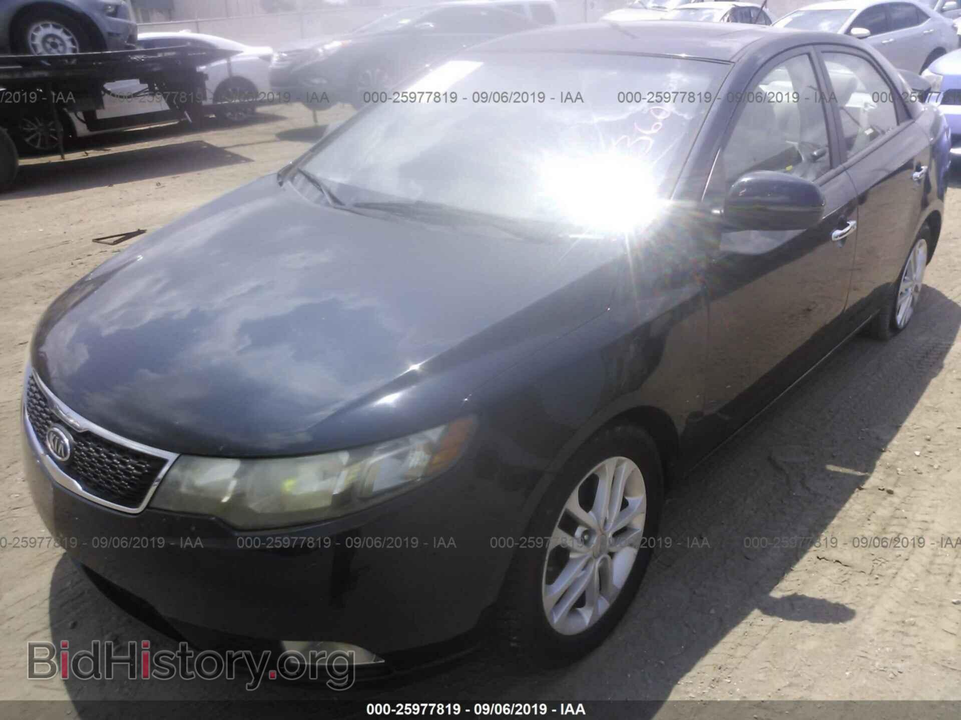 2012 KIA FORTE - VIN: KNAFU4A21C5590784 - Фото 2
