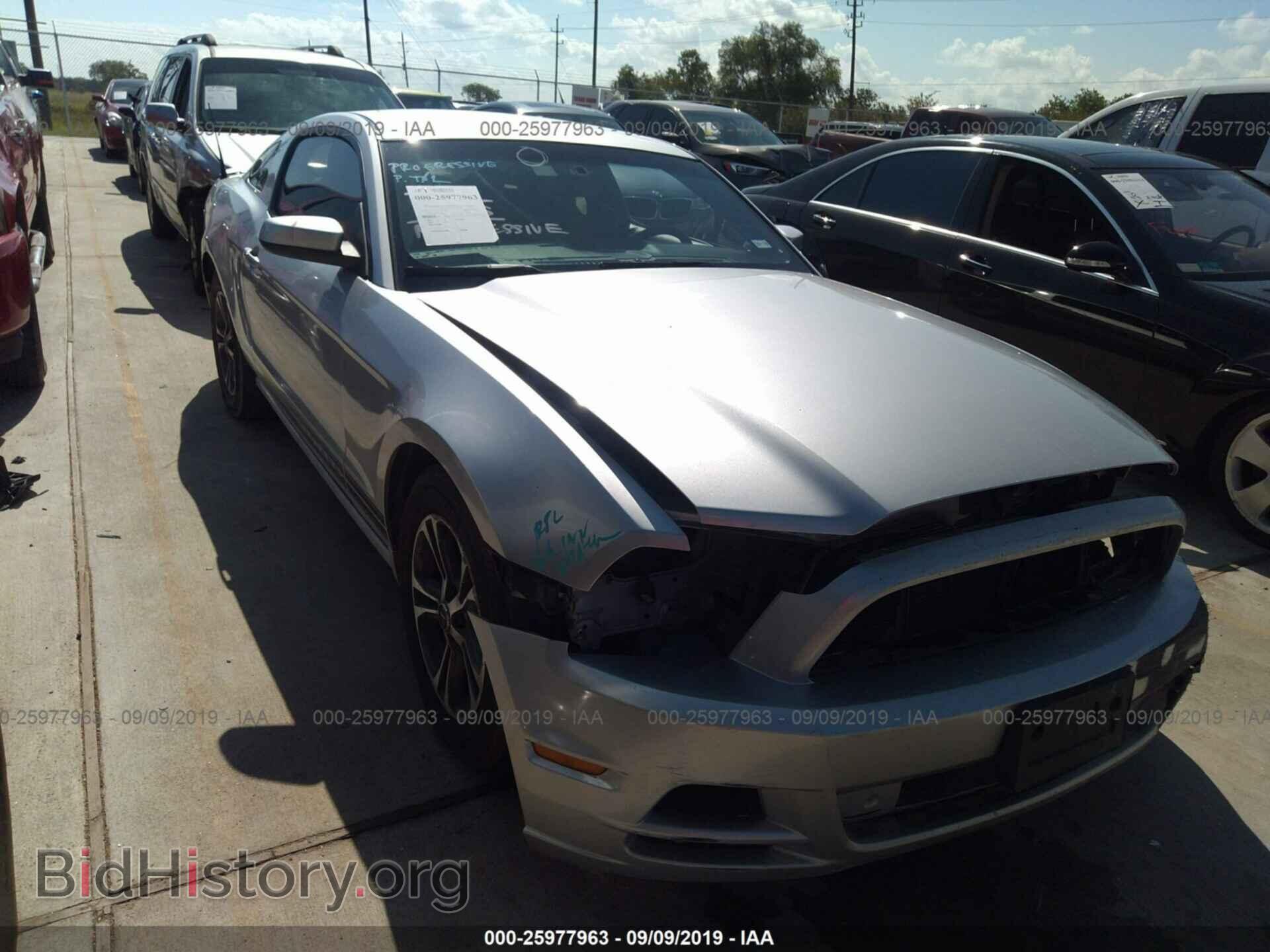 Фотография 1ZVBP8AM5E5241452 - FORD MUSTANG 2014